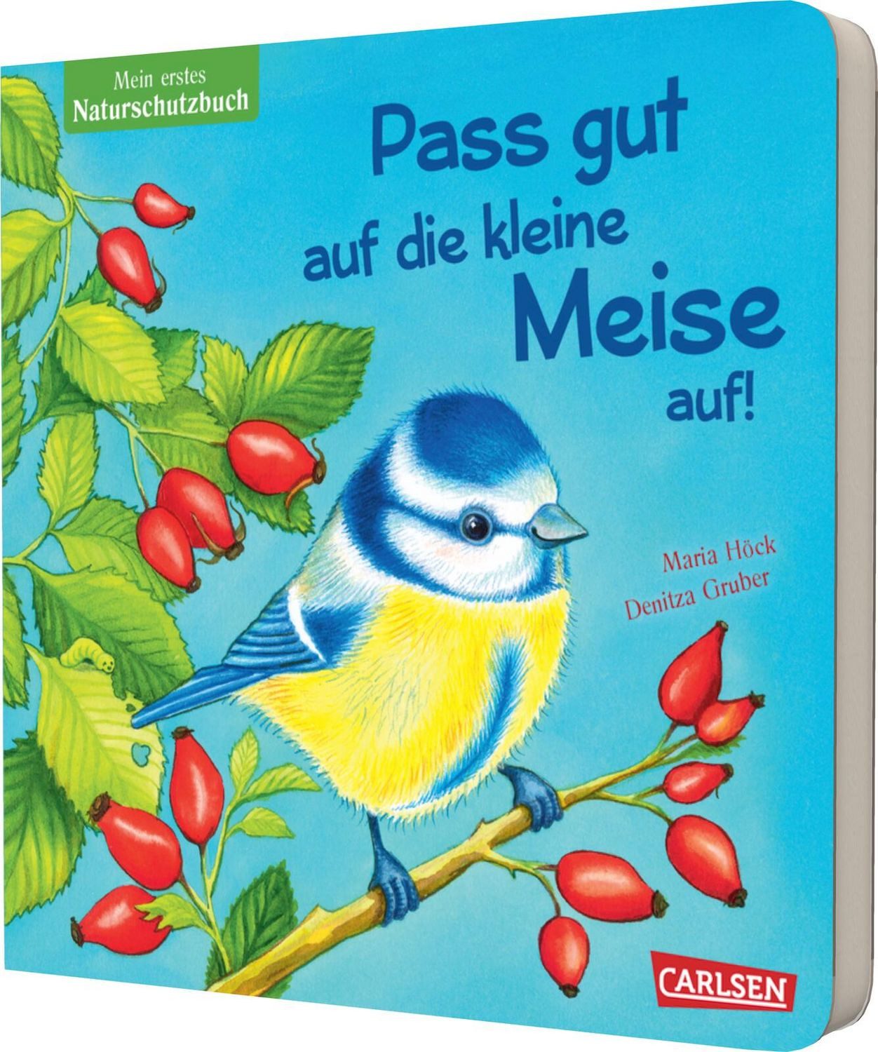 Pass gut auf die kleine Meise auf / Maria Höck