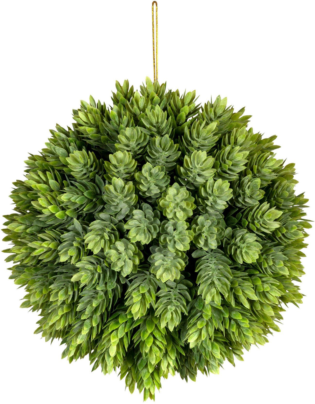 Hopfenkugel Zimmerpflanze Hopfen, green Creativ Künstliche