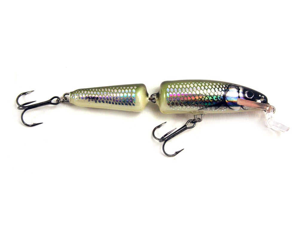 Kunstköder Salmo Fanatic Wobbler Holo Bleak HBL 7cm
