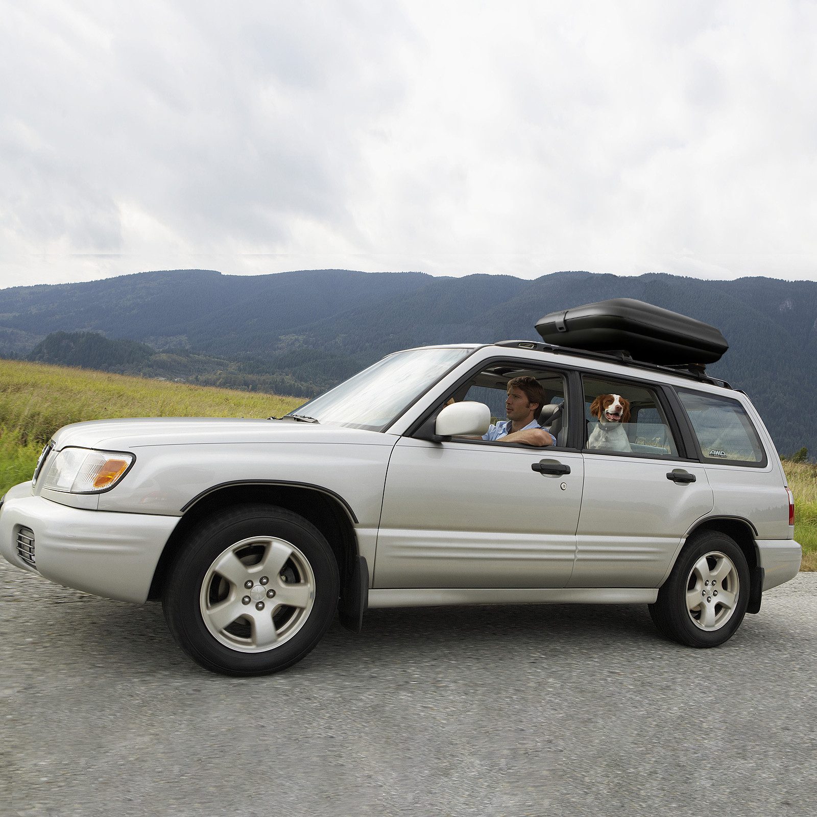 COSTWAY Dachbox, 250L, mit Zentralverriegelung & Gurten, 132x77x31cm