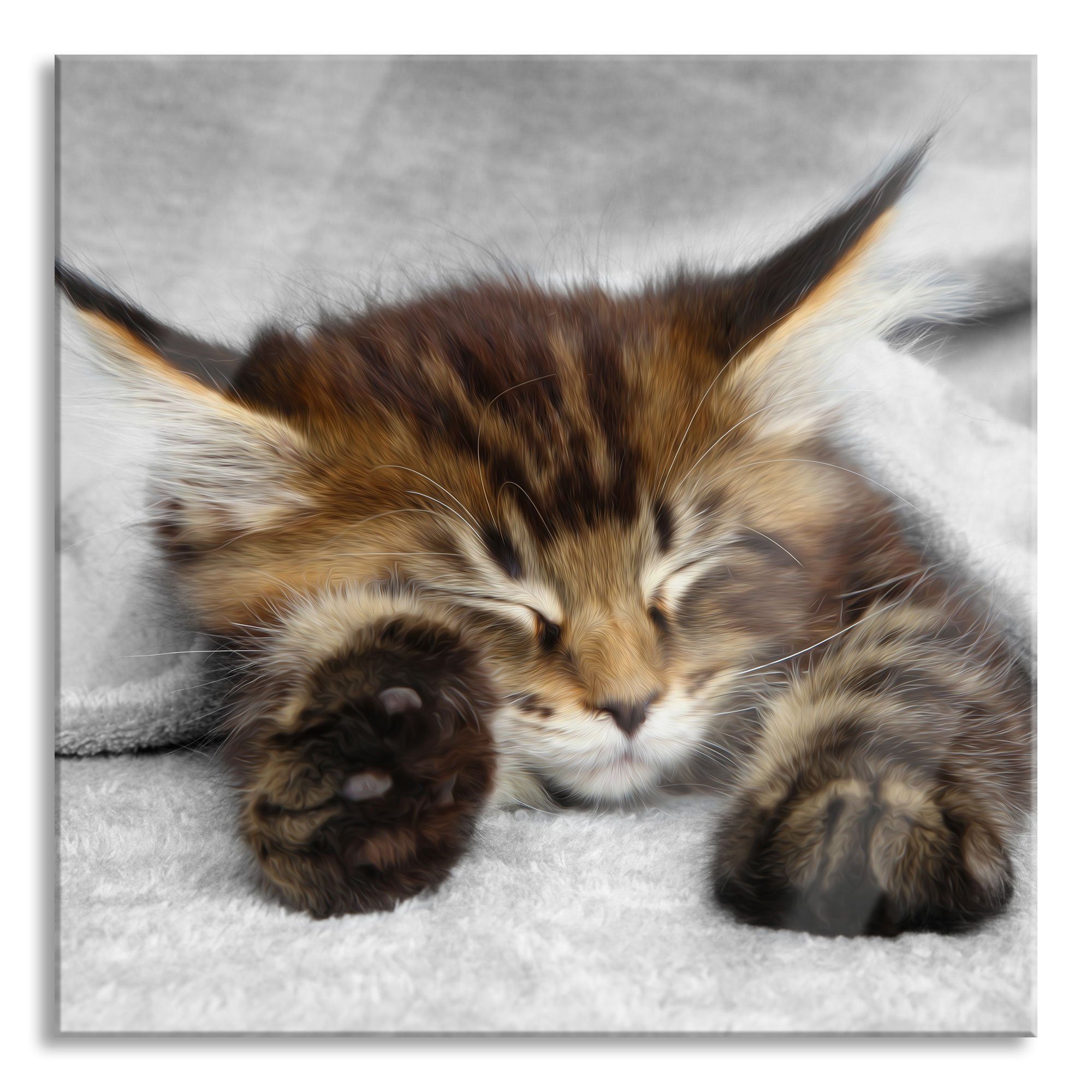 großen inkl. Abstandshalter schlafende Ohren Katze und Glasbild mit St), aus großen Ohren, Aufhängungen mit Katze Echtglas, Pixxprint schlafende (1 Glasbild