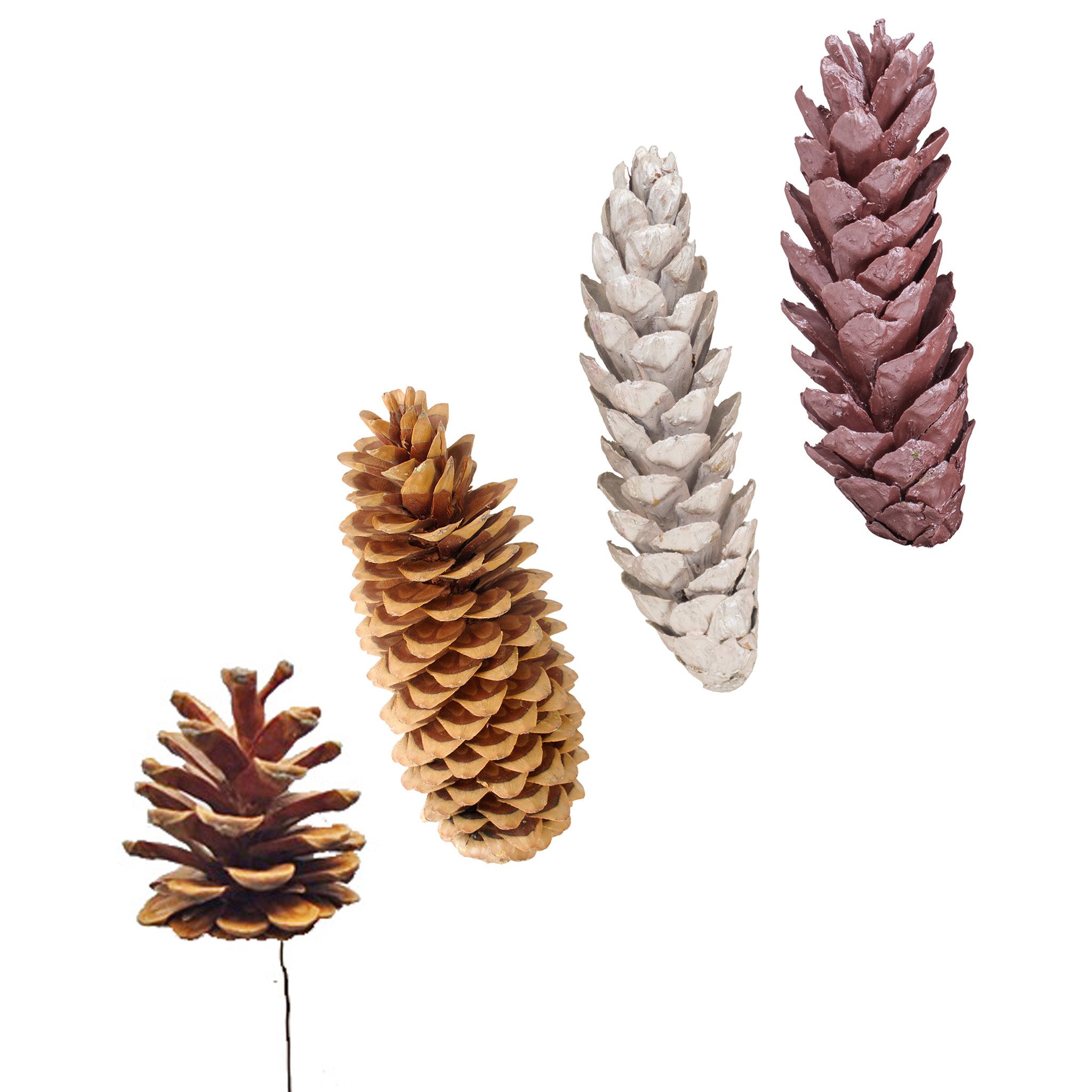 matches21 HOME & HOBBY Bastelnaturmaterial XXL Deko-Zapfen 20–38 cm großer Natur-Kiefernzapfen als Bastelbedarf, (2-tlg), Natur Tannenzapfen 2er Set zum Basteln