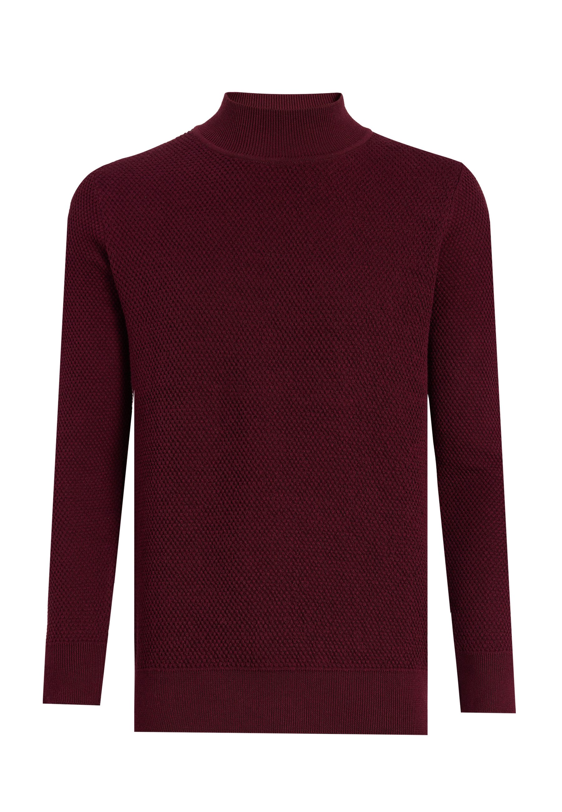 Felix Hardy Rollkragenpullover Rollkragenpullover