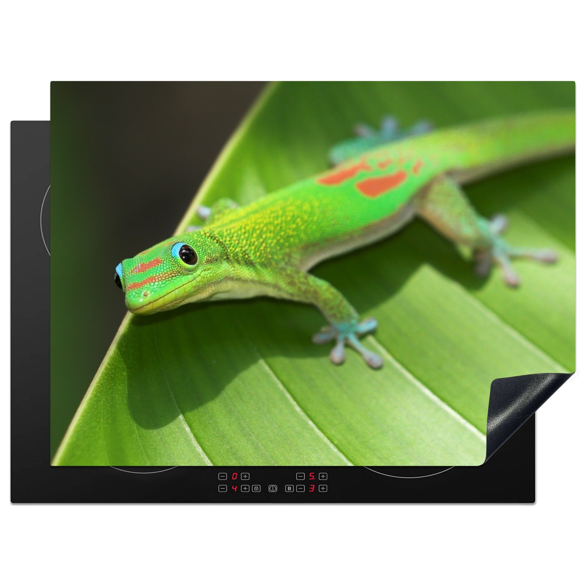 MuchoWow Herdblende-/Abdeckplatte Grüner Gecko auf einem Seerosenblatt, Vinyl, (1 tlg), 71x52 cm, Induktionskochfeld Schutz für die küche, Ceranfeldabdeckung