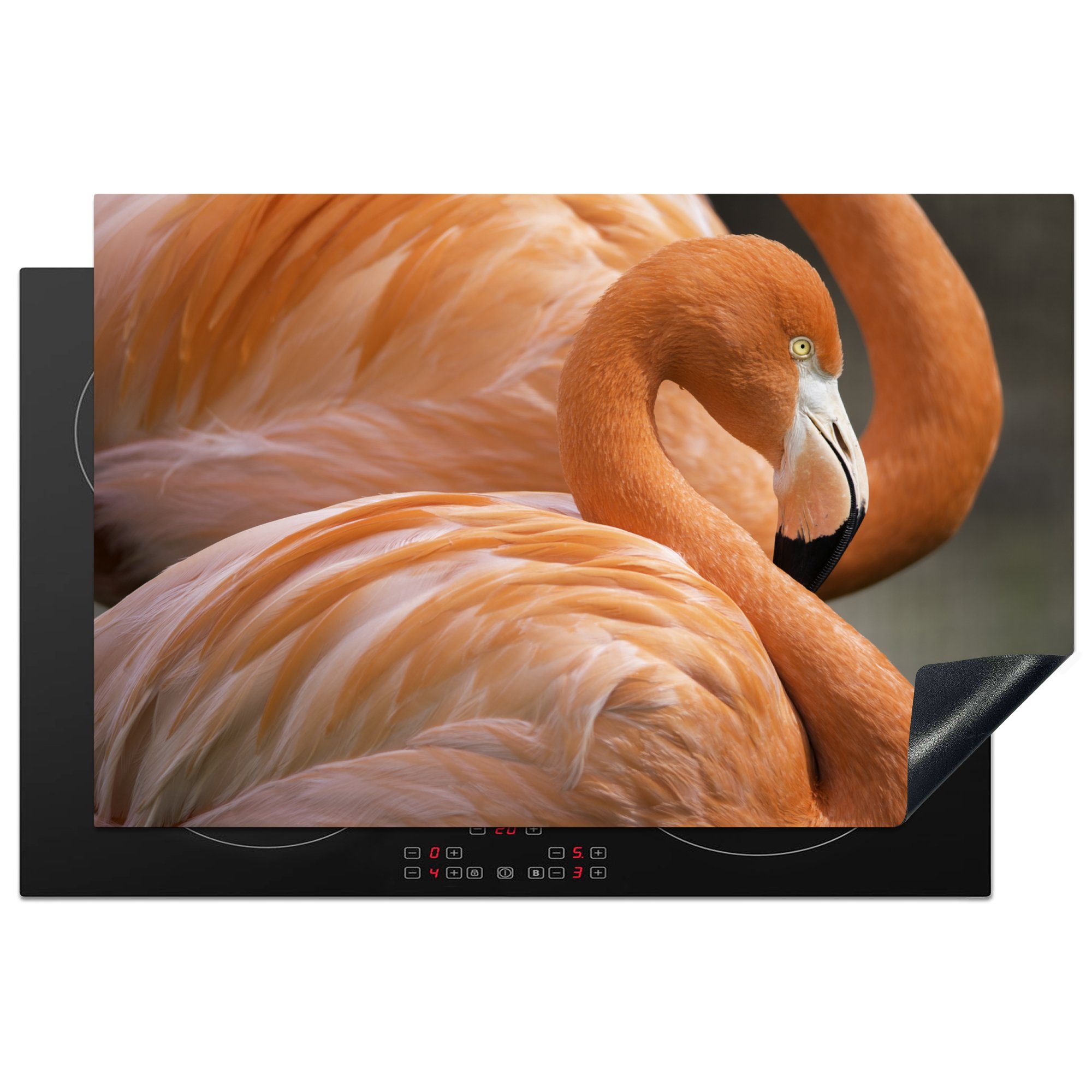 MuchoWow Herdblende-/Abdeckplatte Flamingo im 81x52 Schutz (1 Nahbereich, Vinyl, cm, für Ceranfeldabdeckung die Induktionskochfeld küche, tlg)