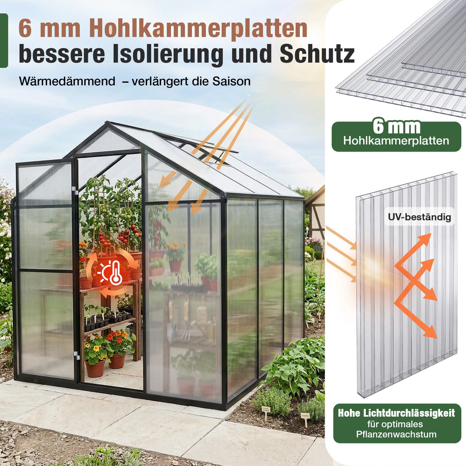 Sekey Gewächshaus Aluminium Treibhaus Garten Pflanzen Tomatenhaus wetterfest Schiebetür, 185x185x195cm, Hohlkammerplatten UV-stabilisiert Gartenhaus mit Griff – Bild 3 von 5