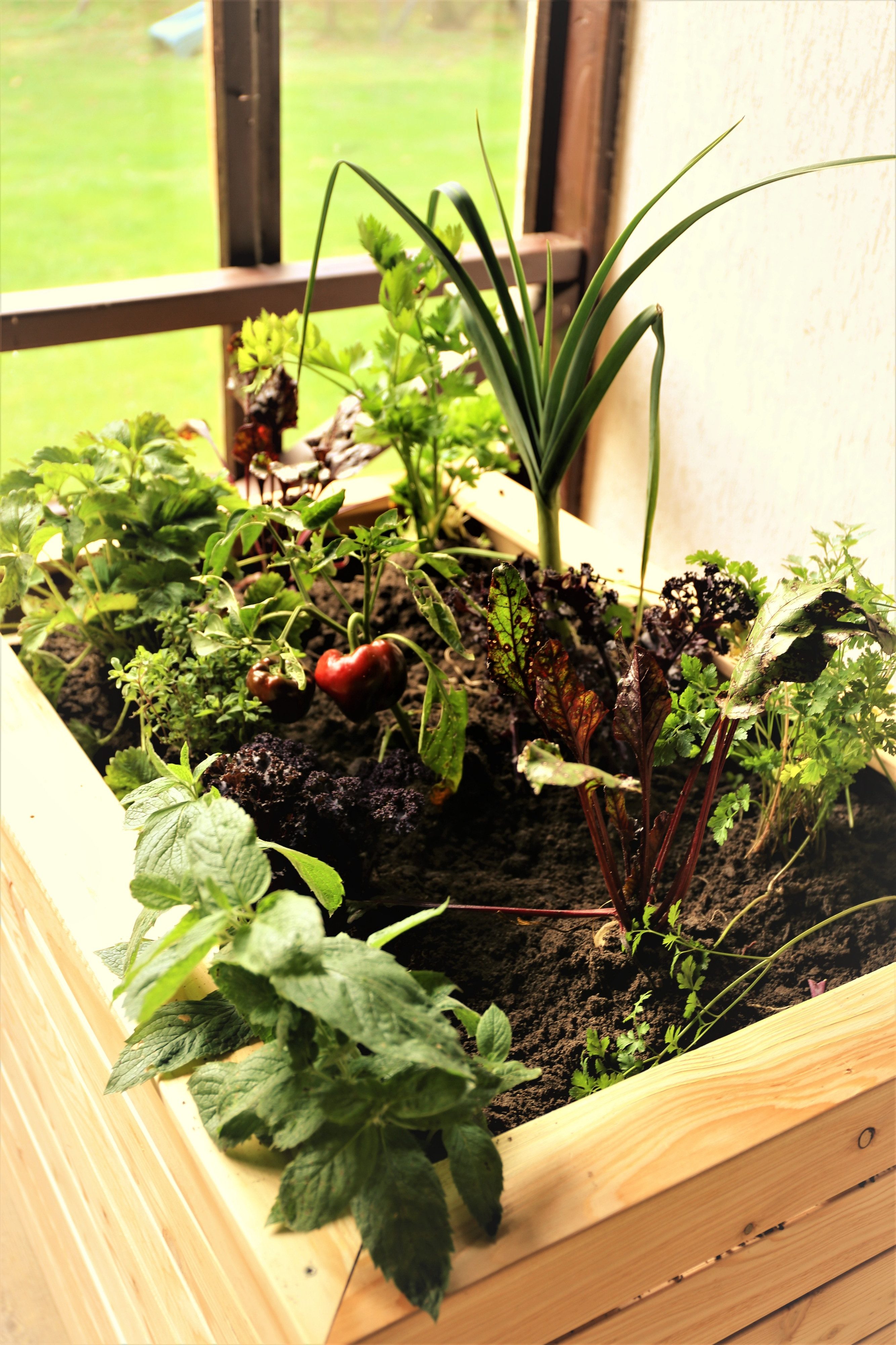 FUNGOO Hochbeet Hochbeet 11 IRENA 100x70x72 cm Lärchenholz Bausatz vormontiert