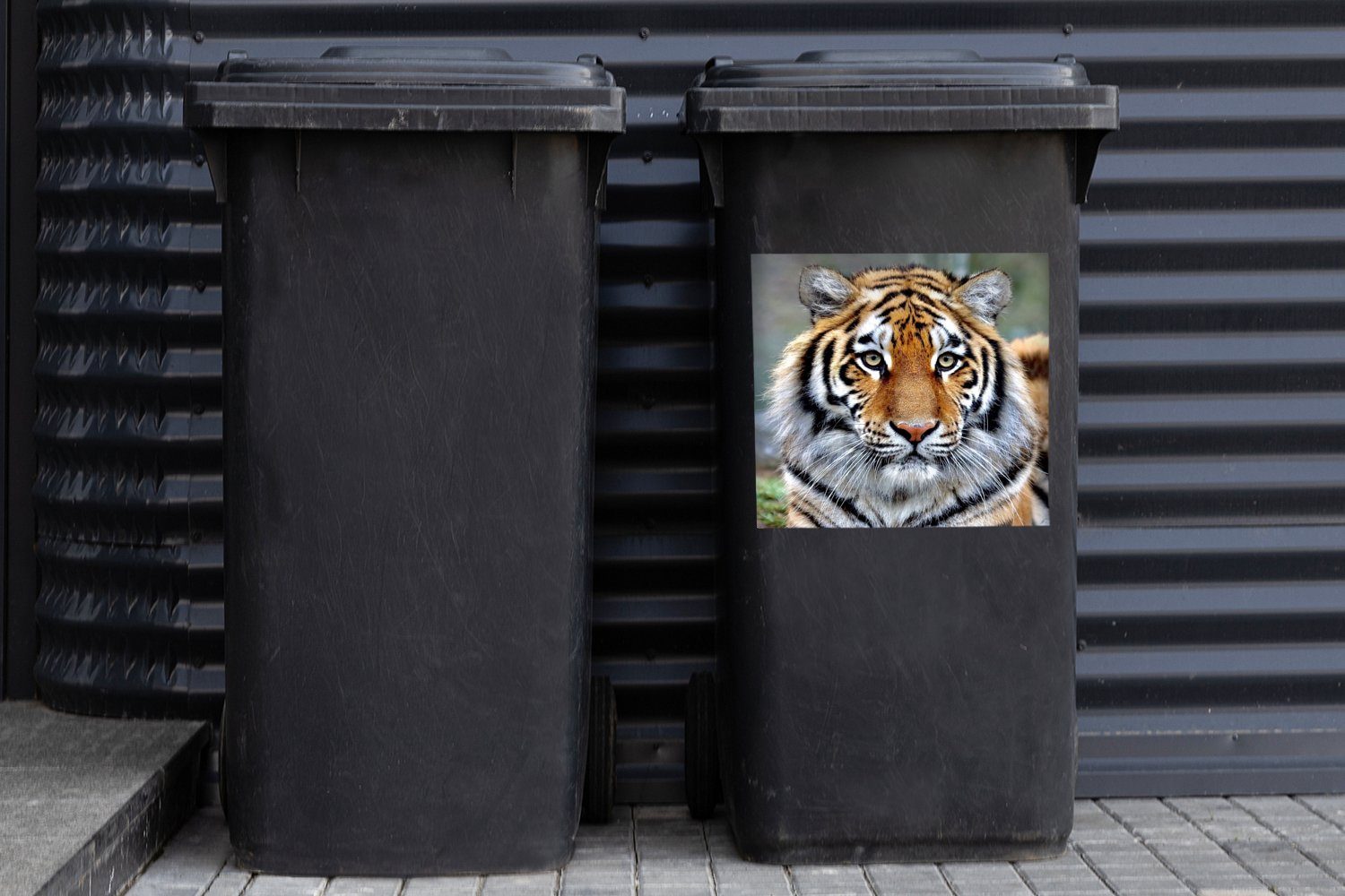Abfalbehälter - St), Container, Tiger Mülleimer-aufkleber, - Jung MuchoWow Mülltonne, (1 Wandsticker Tiere Sticker,