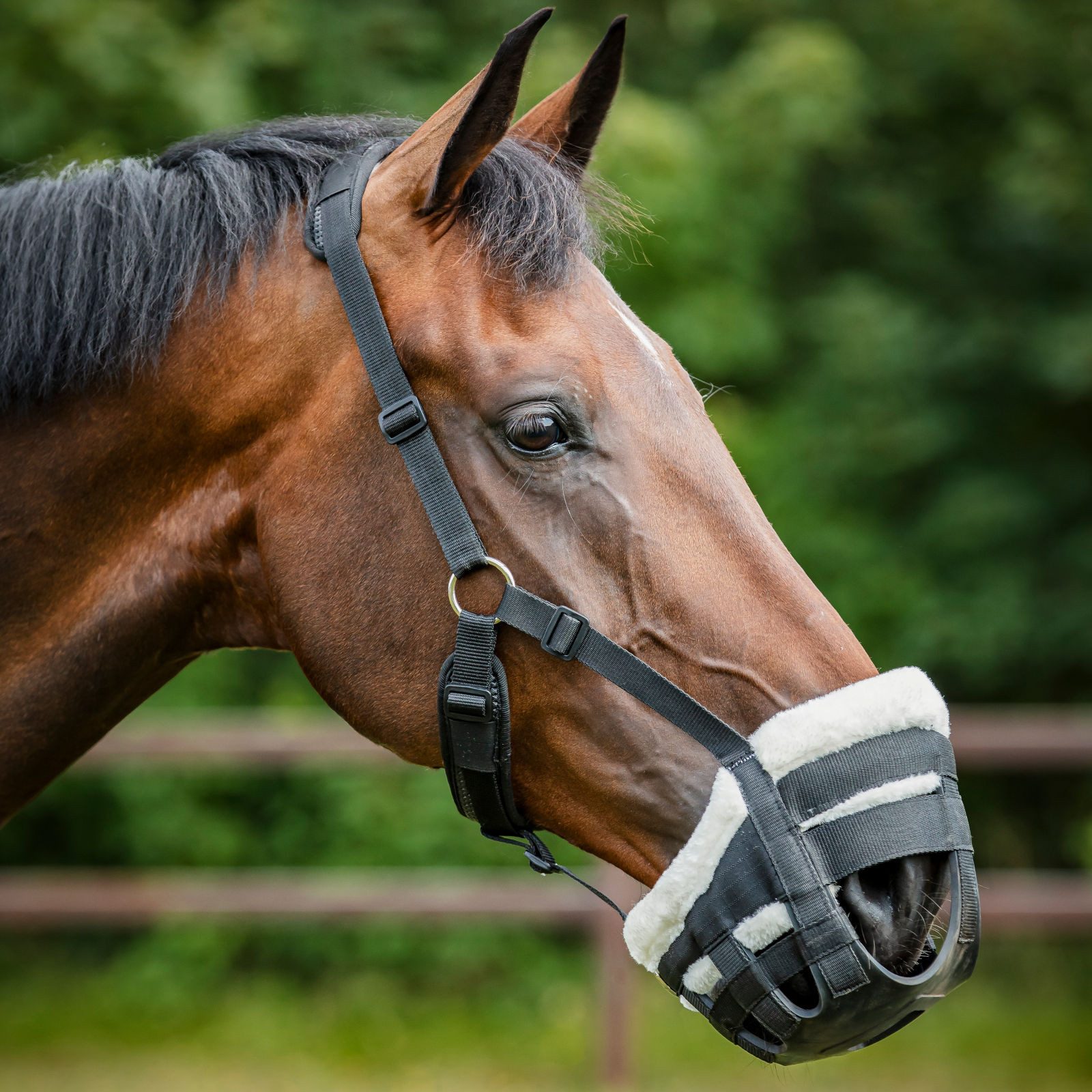 Horse Guard Fressbremse HorseGuard Easy Breathe Weidemaulkorb für Pferde, schwarz, Pony