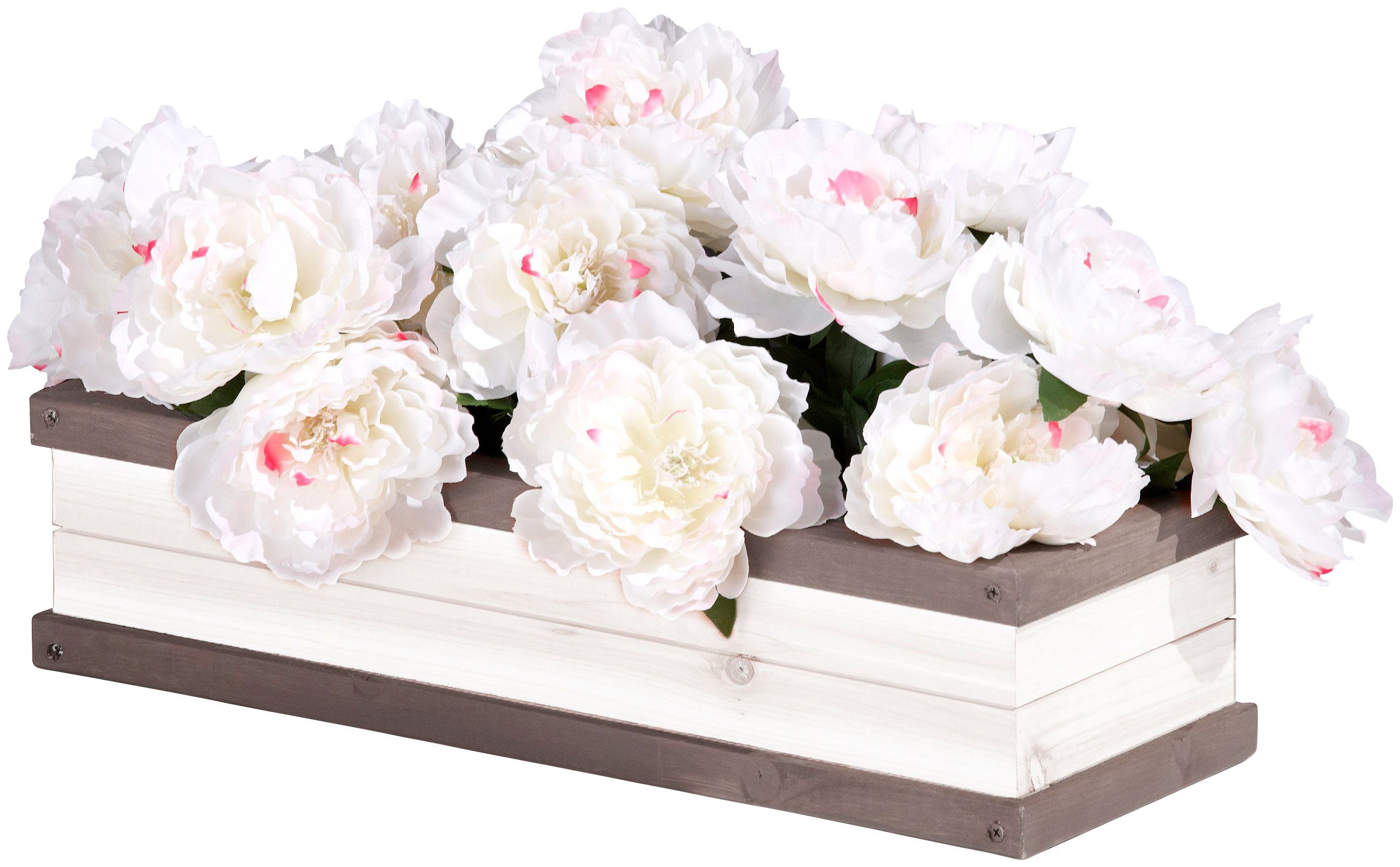 Sunny Blumenkasten »Sunny«, BxTxH: 54x19x11,5 cm-HomeTrends