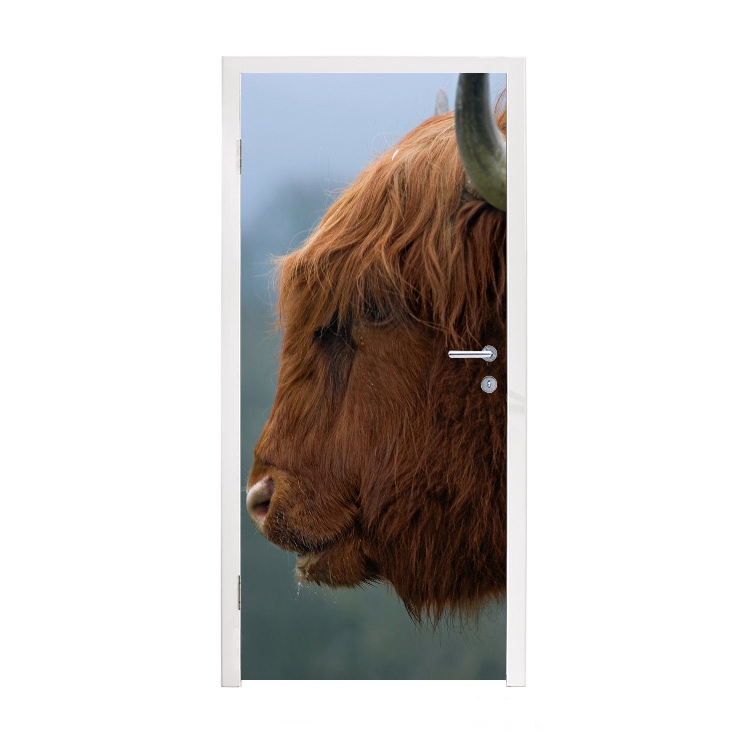 MuchoWow Türtapete Schottische Highlander - Tiere - Nebel, Matt, bedruckt, (1 St), Fototapete für Tür, Türaufkleber, 75x205 cm