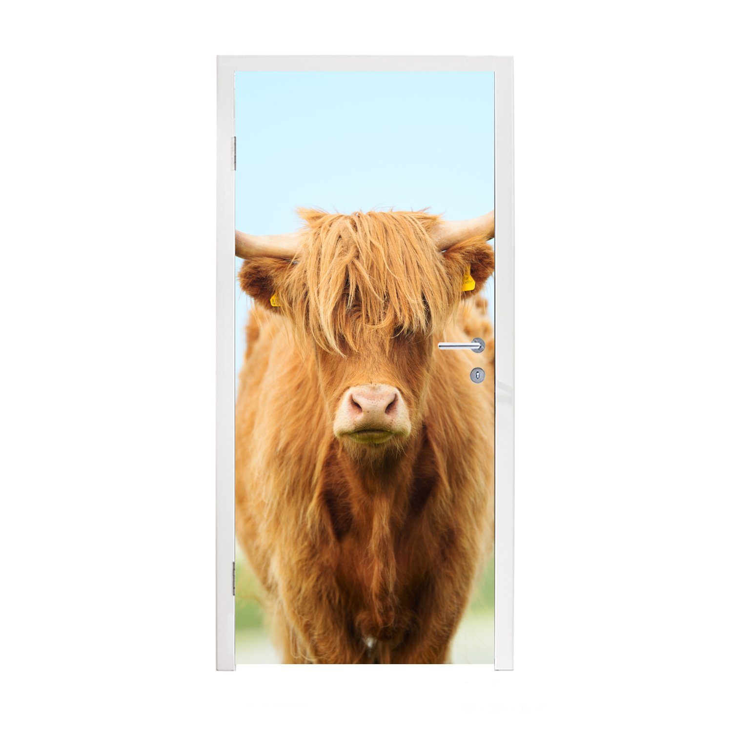 MuchoWow Türtapete Schottischer Highlander - Haare - Gras, Matt, bedruckt, (1 St), Fototapete für Tür, Türaufkleber, 75x205 cm