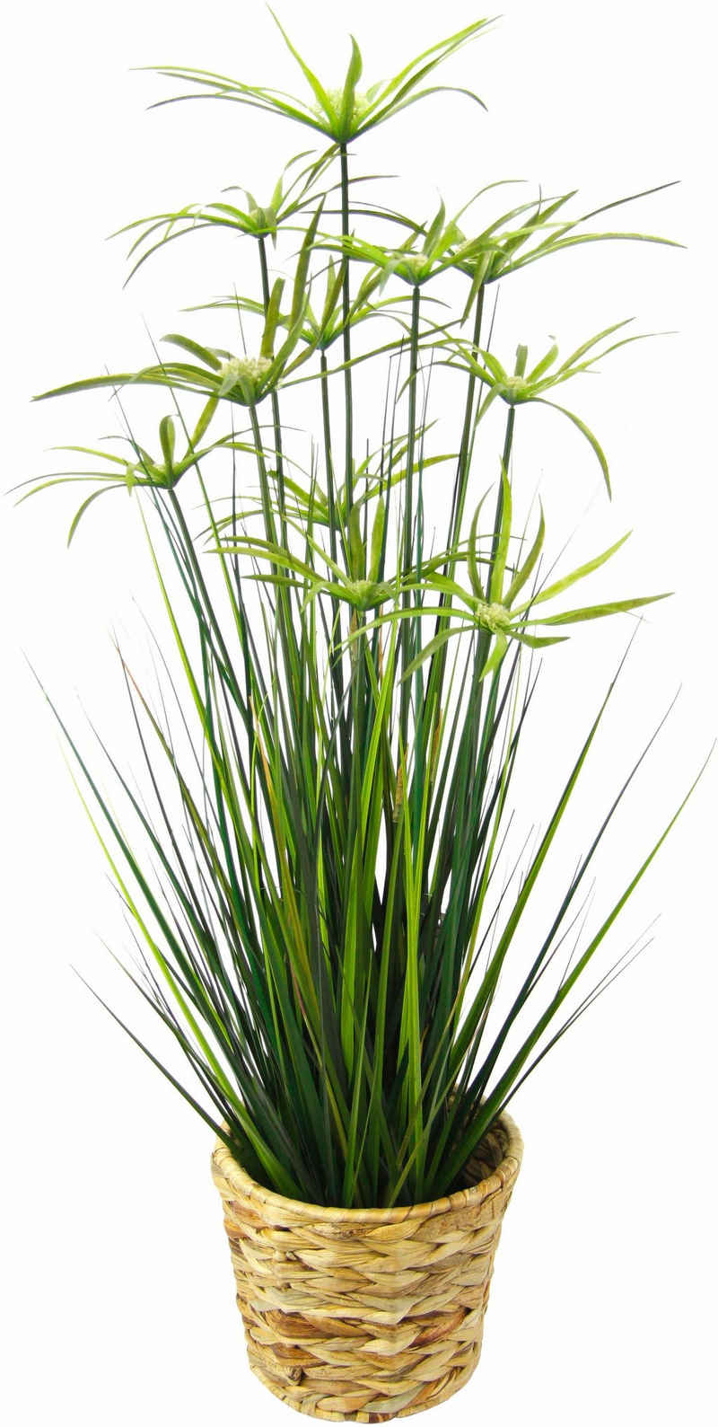 Kunstpflanze Zyperngras in Wasserhyazinthentopf Zyperngras, I.GE.A., Höhe 90 cm