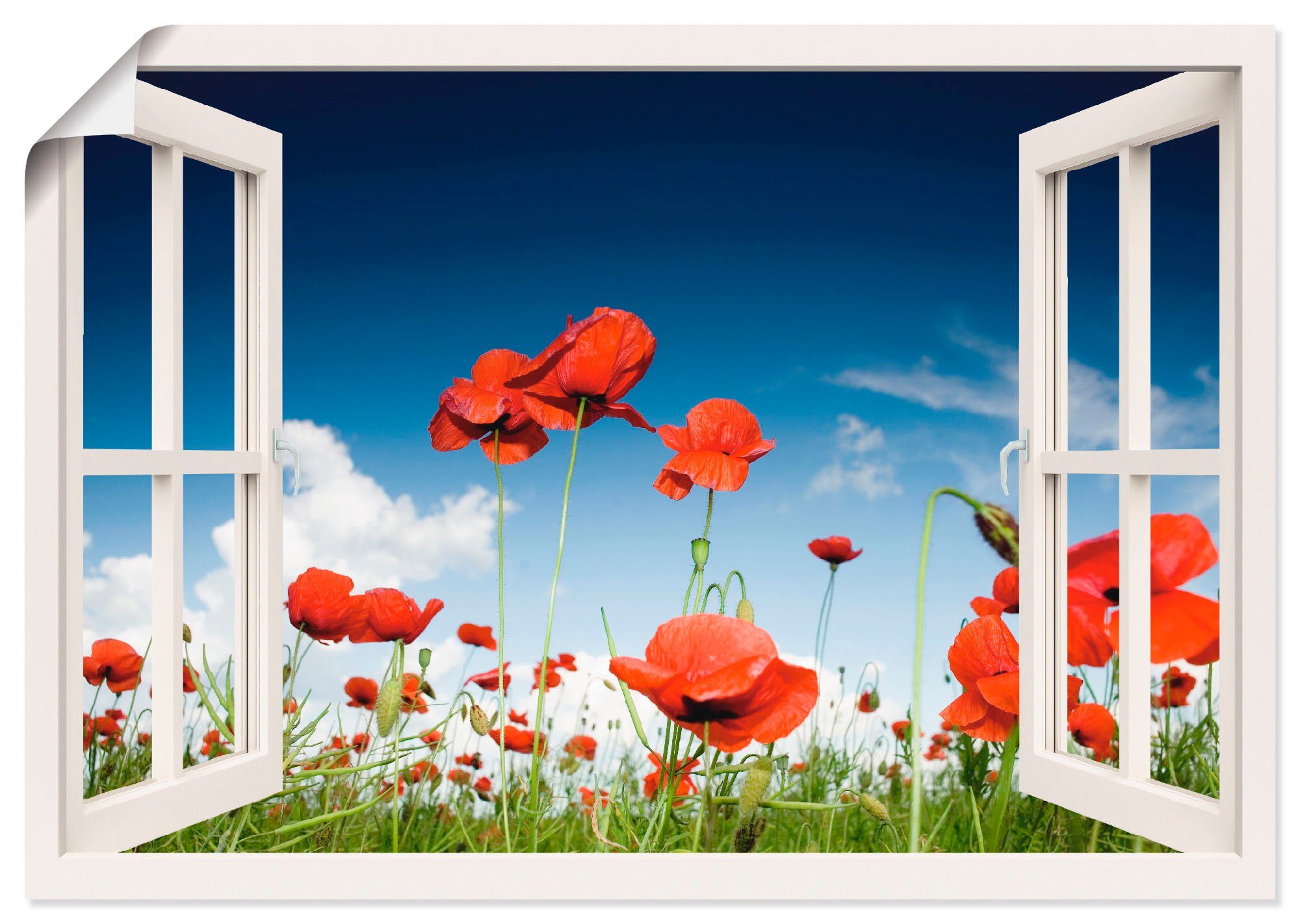 Artland Wandbild Fensterblick Feld mit Mohnblumen, Fensterblick (1 St), als Leinwandbild, Wandaufkleber oder Poster in versch. Größen