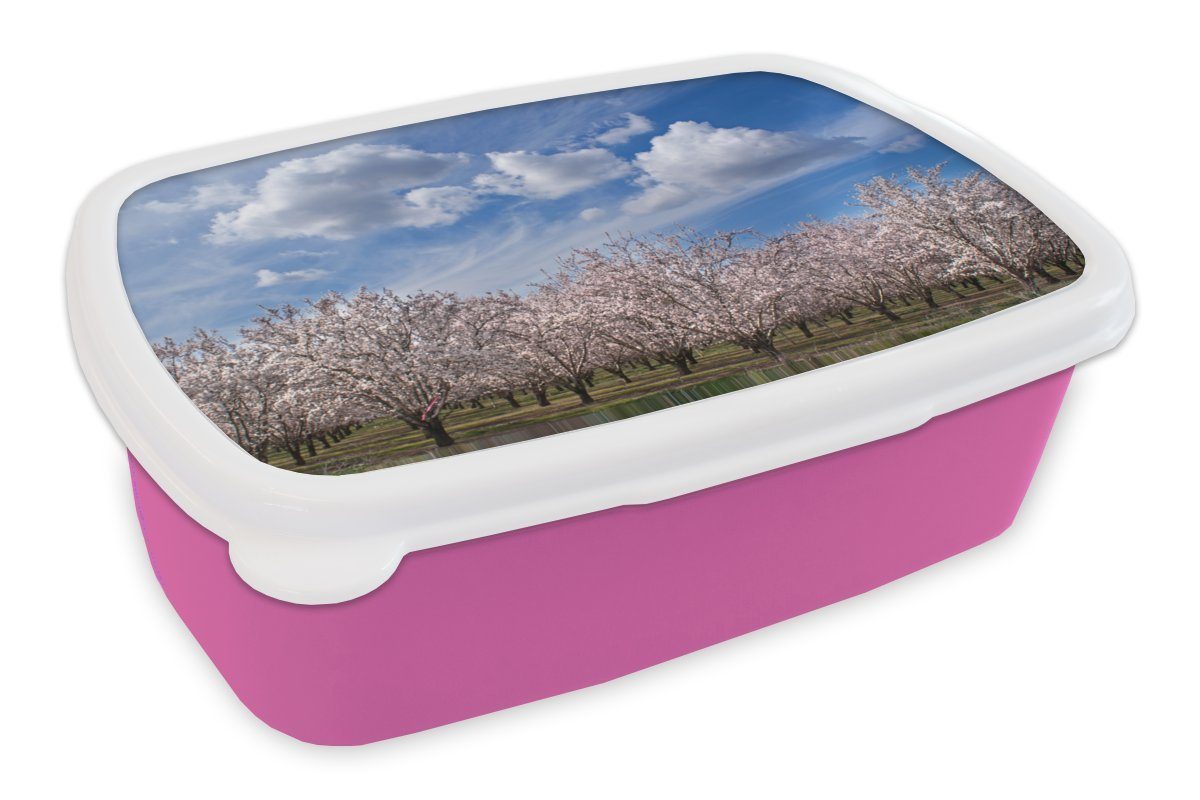 MuchoWow Lunchbox Mandelbäume unter klarem Himmel, Kunststoff, (2-tlg), Brotbox für Erwachsene, Brotdose Kinder, Snackbox, Mädchen, Kunststoff rosa