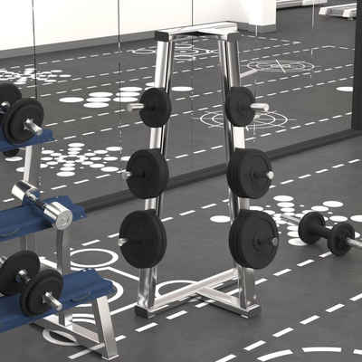 vidaXL Hantel Hantelscheiben 6 Stk 30 kg Gusseisen Fitness Training Gewicht Kraftspo
