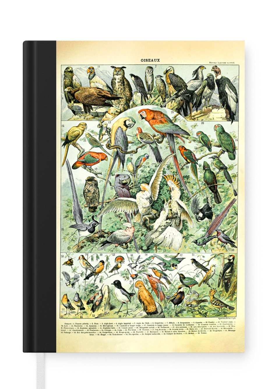 - Design, - Adolphe Vintage Journal, - Notizheft, Millot Haushaltsbuch Seiten, A5, - Merkzettel, Tagebuch, MuchoWow 98 Vögel Tiere Notizbuch