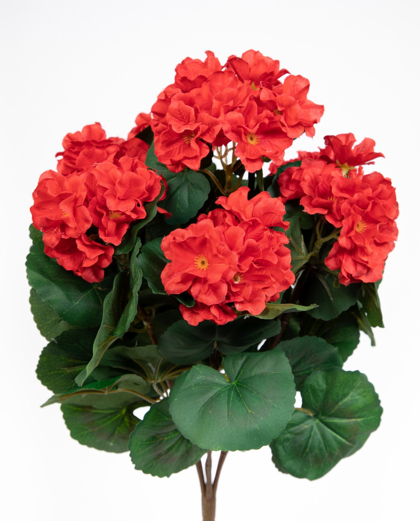 Kunstblume Künstliche Geranie ZF Kunstpflanzen künstliche Blumen Растения Pelargonium, Seidenblumen Roß, Höhe 38 cm, Rot