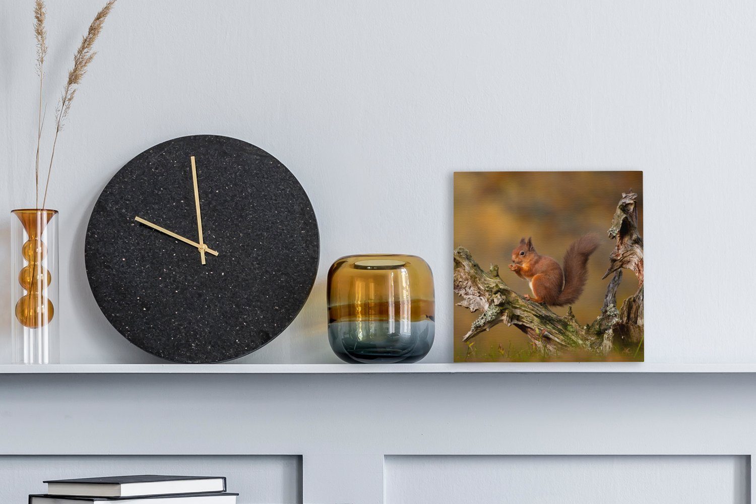 OneMillionCanvasses® Leinwandbild Rotes Eichhörnchen im Herbst, günstig online kaufen