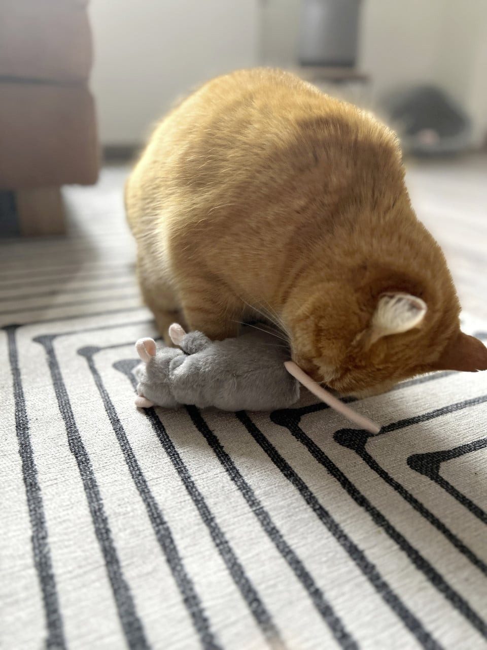 Aumüller Plüschmaus Aumüller Katzenkissen Ratte Cedric grau mit, Sand