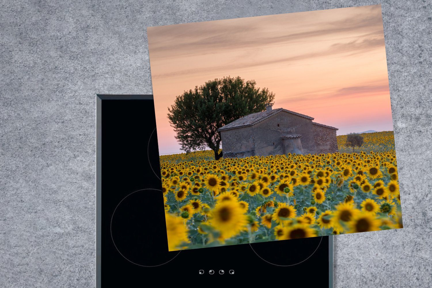 78x78 - (1 Herdblende-/Abdeckplatte tlg), cm, küche Arbeitsplatte Ceranfeldabdeckung, Vinyl, Sonnenblume Scheune, für Frankreich MuchoWow -