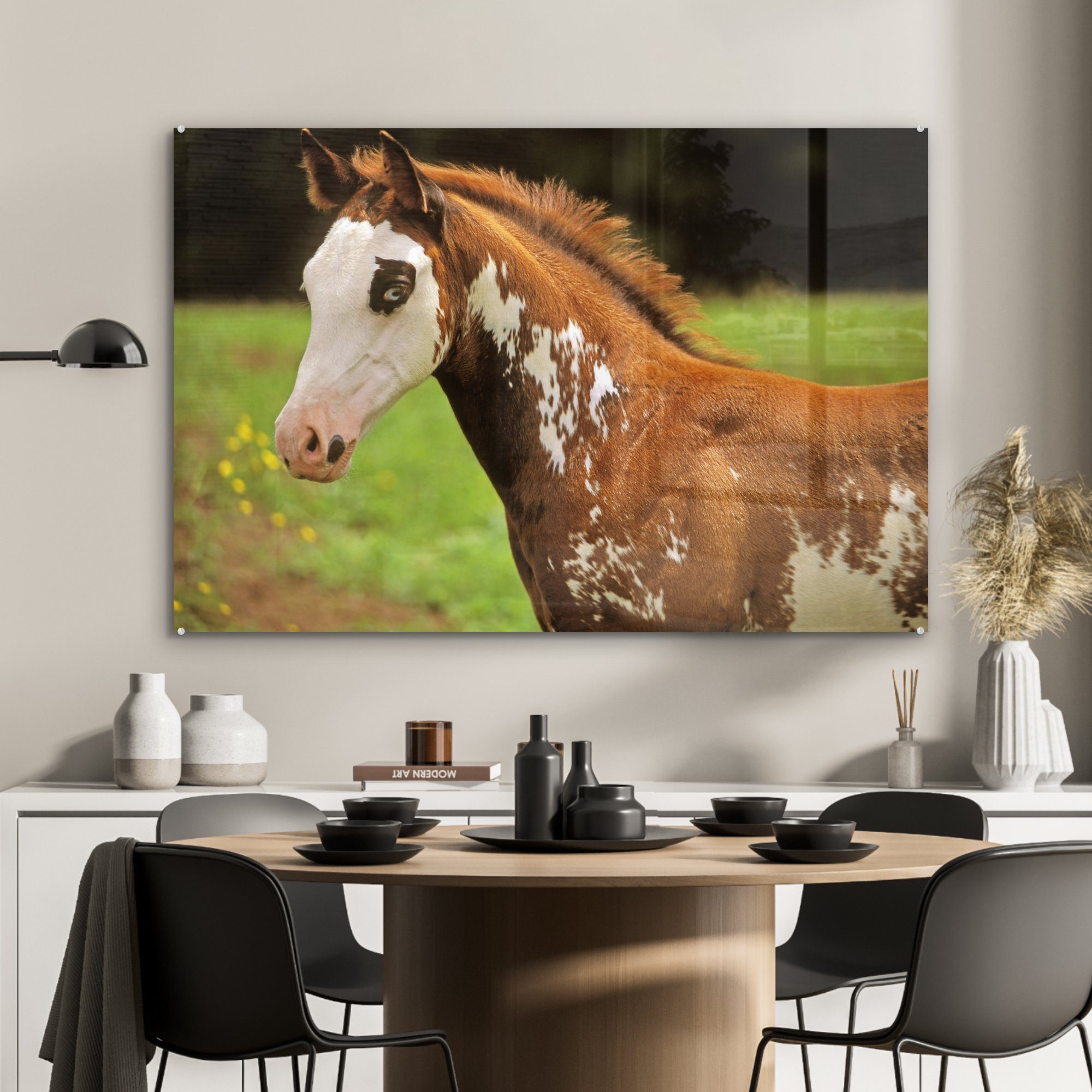 Wohnzimmer MuchoWow Pferd (1 Schlafzimmer Braun, Acrylglasbilder - Weiß St), Acrylglasbild & -