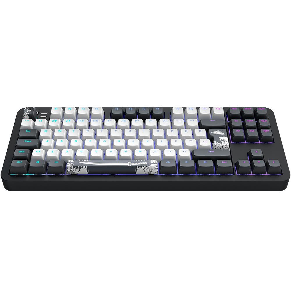 Dark Project ALU87B Bushido Premium Mechanische Tastatur Aluminium Gaming-Tastatur (Mechanisch, Hot-Swap, Anti-Ghosting, RBG, mehrsprachig, leise Tasten)