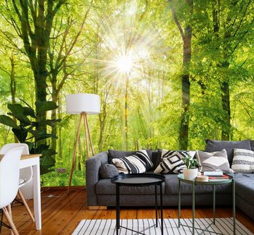 murimage® Fototapete Fototapete Wald 3D 274 x 254cm Bäume Sonne Wohnzimmer Schlafzimmer Küche inklusive Kleister
