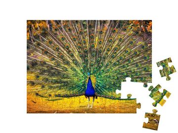 puzzleYOU Puzzle Blauer Pfau zeigt sein Gefieder, 48 Puzzleteile, puzzleYOU-Kollektionen Pfauen, Tiere in Dschungel & Regenwald