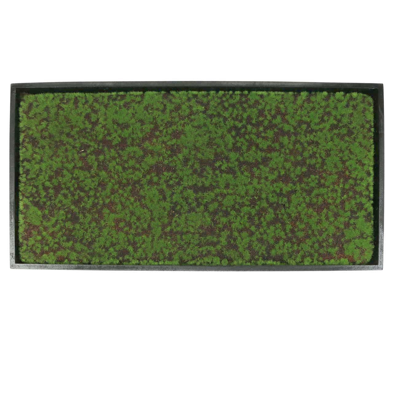 Künstliche Zimmerpflanze Wandbild Moosrahmen Grün 60x30cm günstig online kaufen