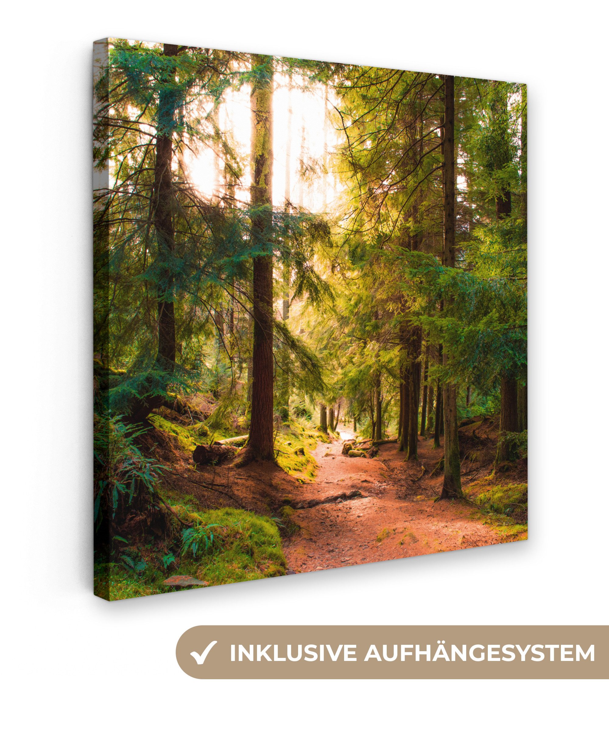 OneMillionCanvasses® Leinwandbild Wald - Weg - Bäume - Grün - Sonne - Natur günstig online kaufen