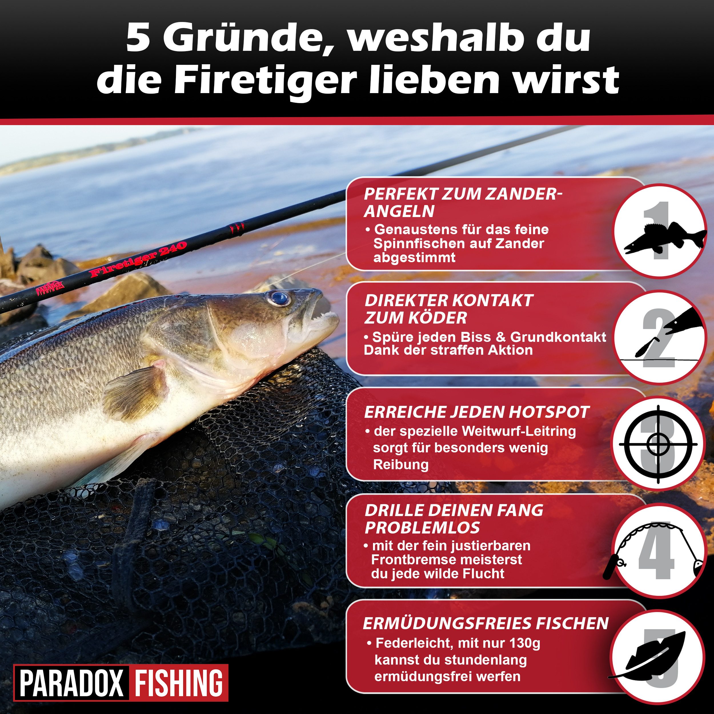 Paradox Fishing Spinnrute Zander Komplett Set Firetiger Spinnrute 15-35g + 3000 Infinity Rolle, (Rute + 3000 Rolle + Köderset), Komplett-Starterset – Bild 4 von 5