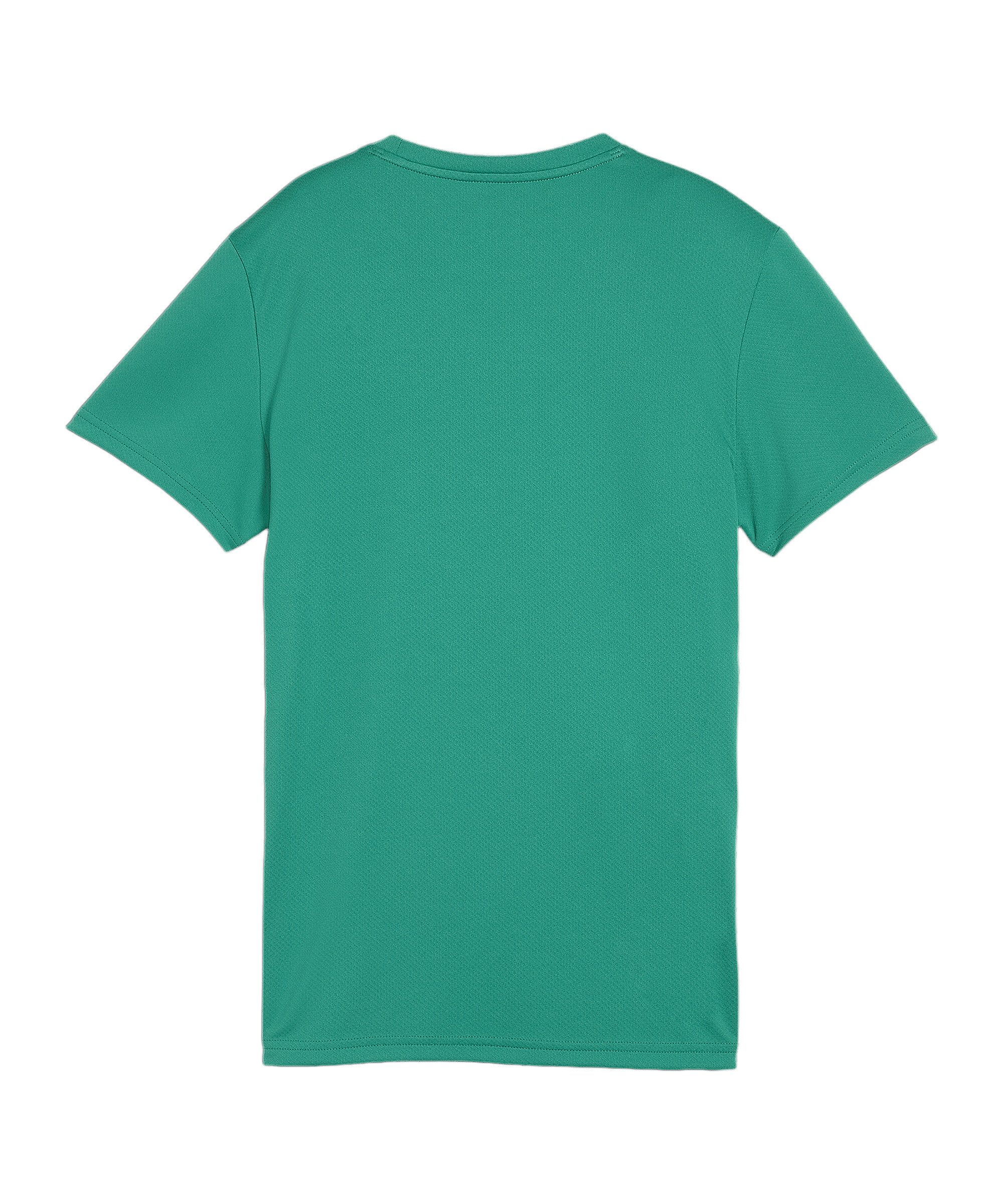 PUMA T-Shirt PUMA teamGOAL Trikot Damen günstig online kaufen