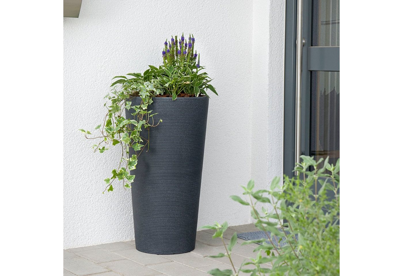 Thumbnail - Scheurich Blumentopf 55/243 CONEO HIGH 55