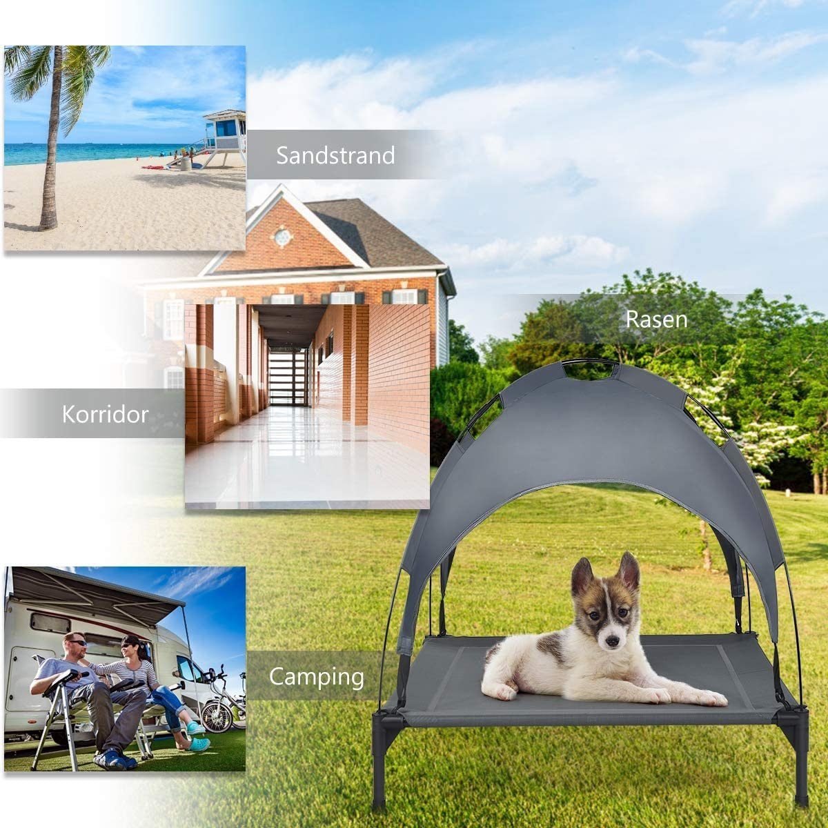 COSTWAY Hundematte Hundebett, erhöhtes Haustierbett, mit günstig online kaufen