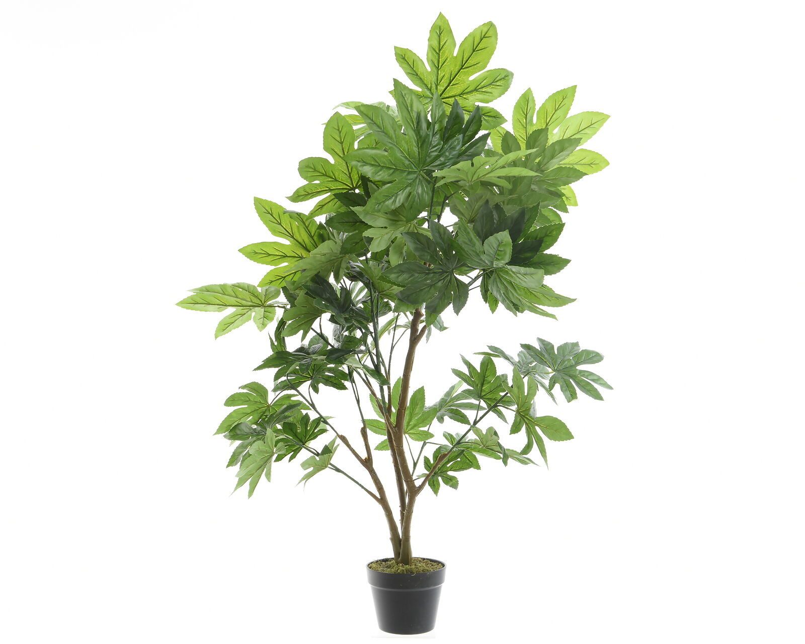 Kunstblume Aralie Kunstpflanze Kunstblume Zuhause Hochzeit Büro grün H 90cm