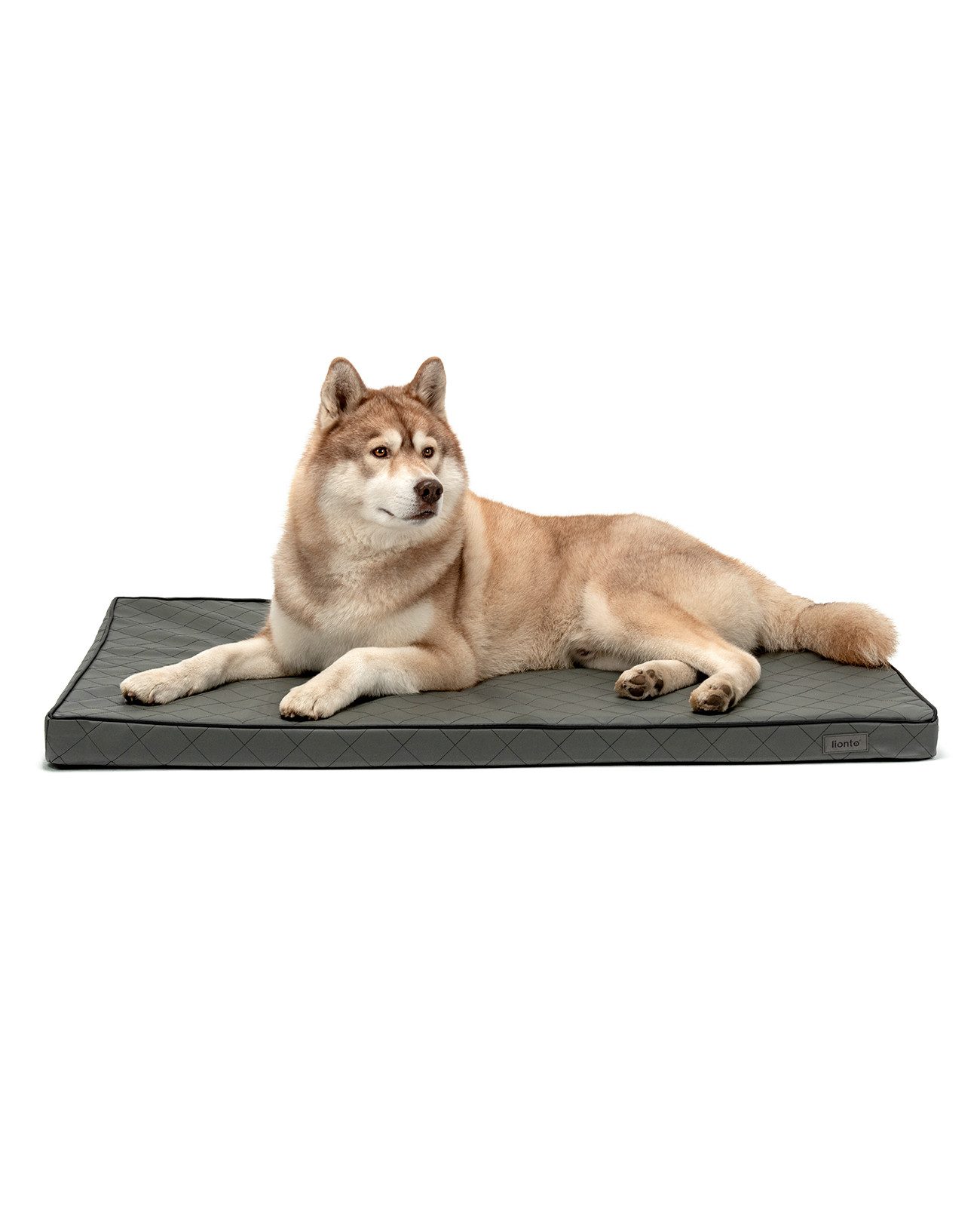 lionto Tierkissen orthopädisch, druckentlastend, Lederimitat, Memory-Foam-Liegefläche, rutschfeste Unterseite & abnehmbarer Bezug