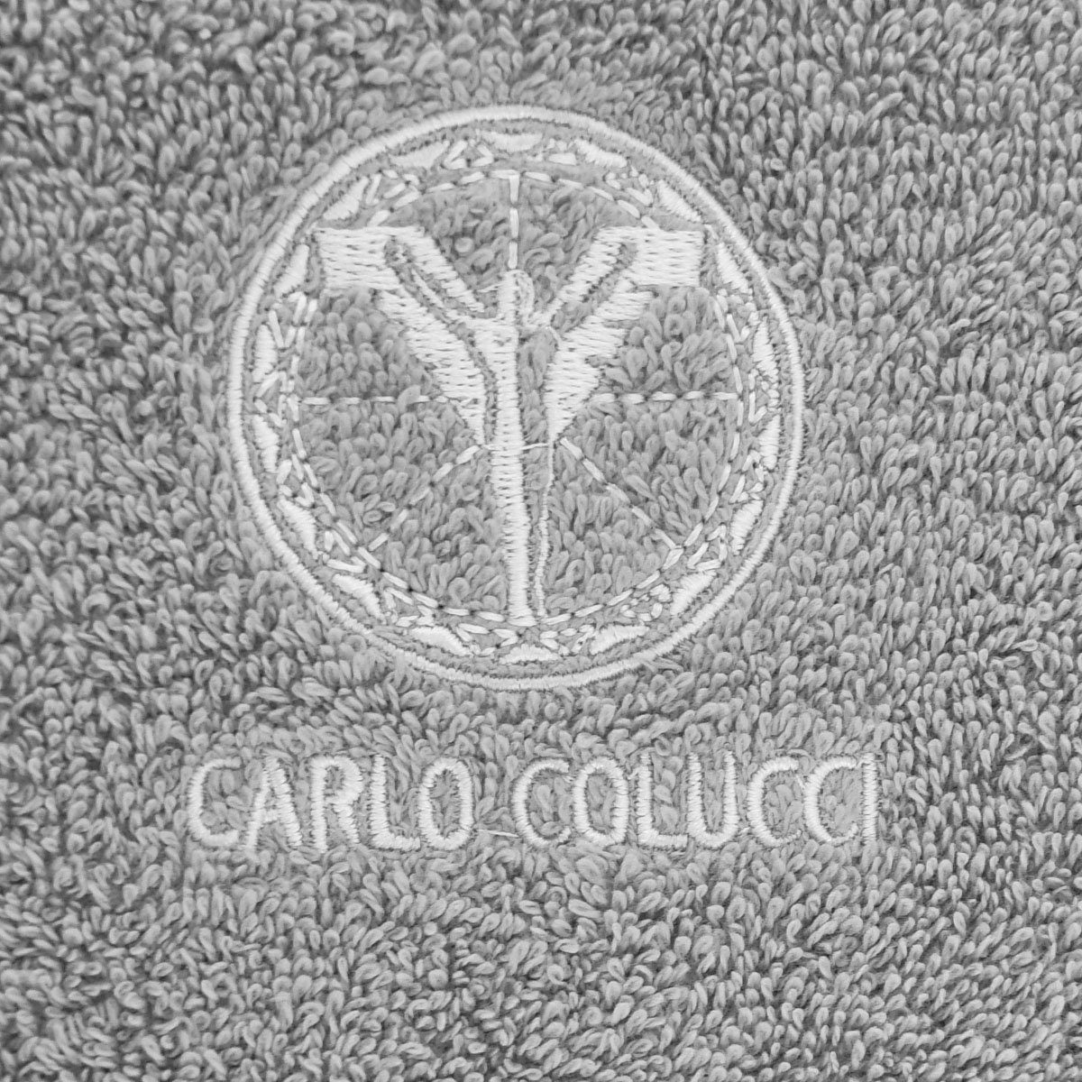 COLUCCI Strandtuch mit Logo-Stickerei silberfarben (1-St), Frottier Sandro, CARLO