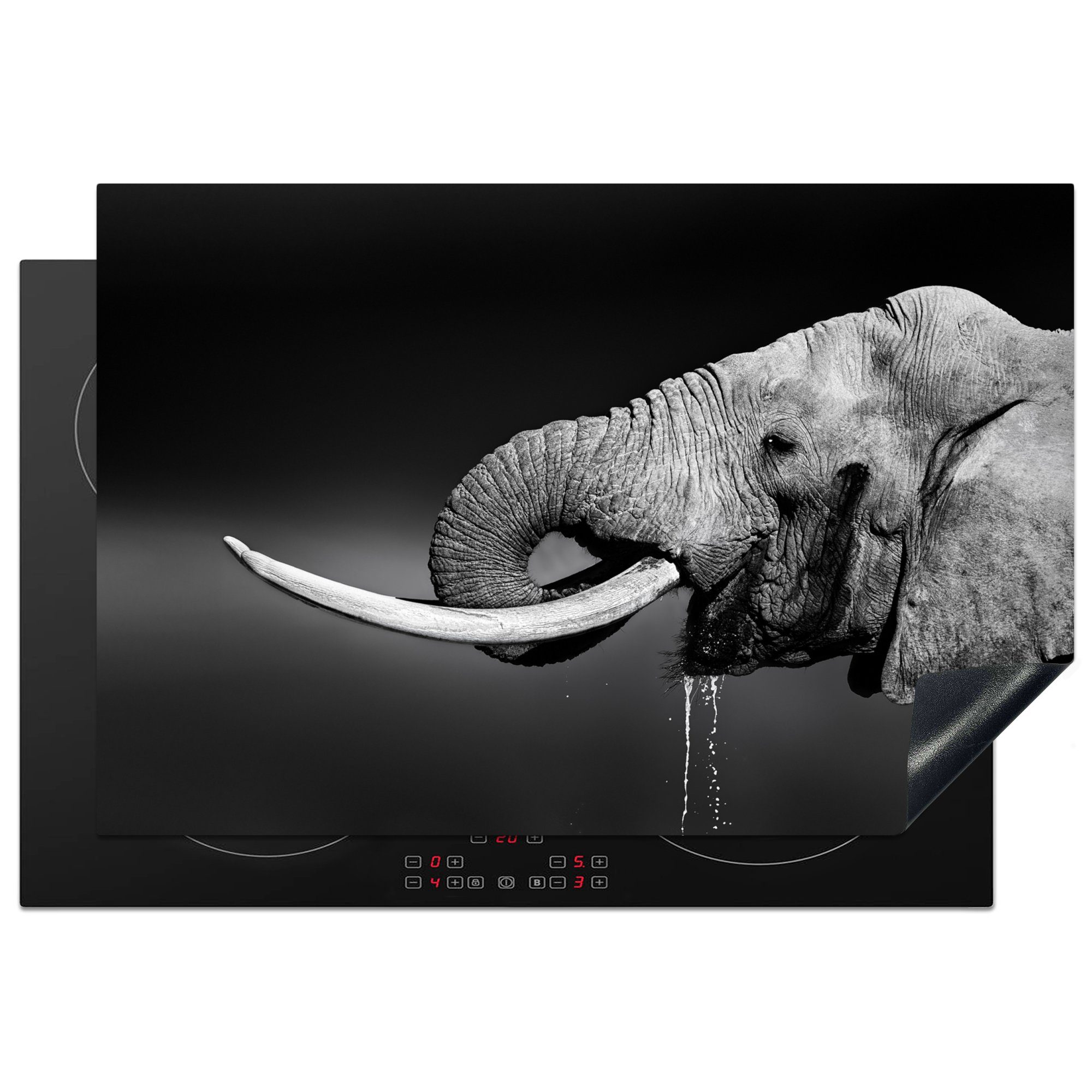 MuchoWow Herdblende-/Abdeckplatte Elefant - Wasser - Tiere - Schwarz - Weiß, Vinyl, (1 tlg), 77x51 cm, Ceranfeldabdeckung, Arbeitsplatte für küche