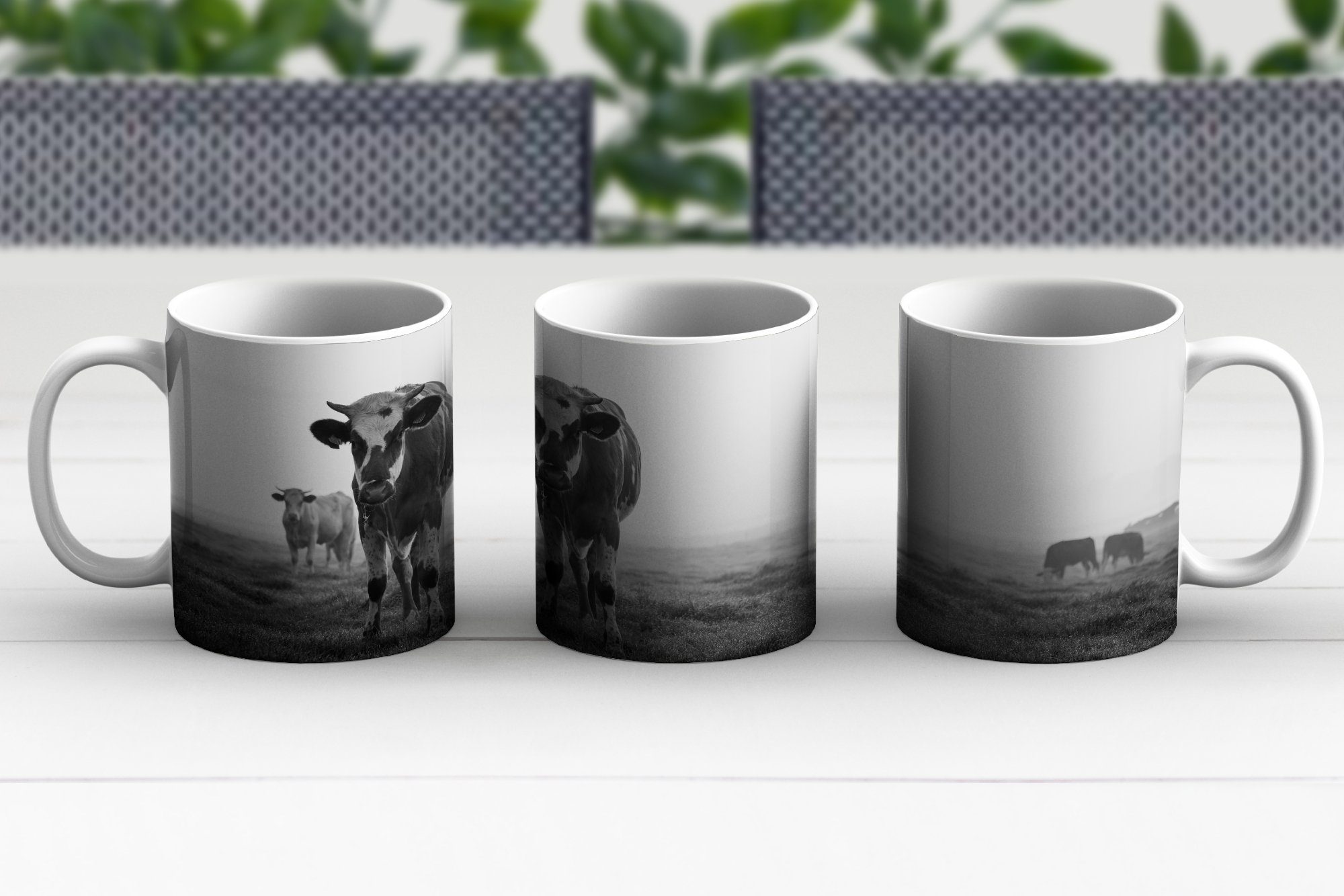 Keramik, Foto, schwarz-weiß Becher, Teetasse, Geschenk Teetasse, im Morgennebel Kaffeetassen, Kühe Tasse MuchoWow