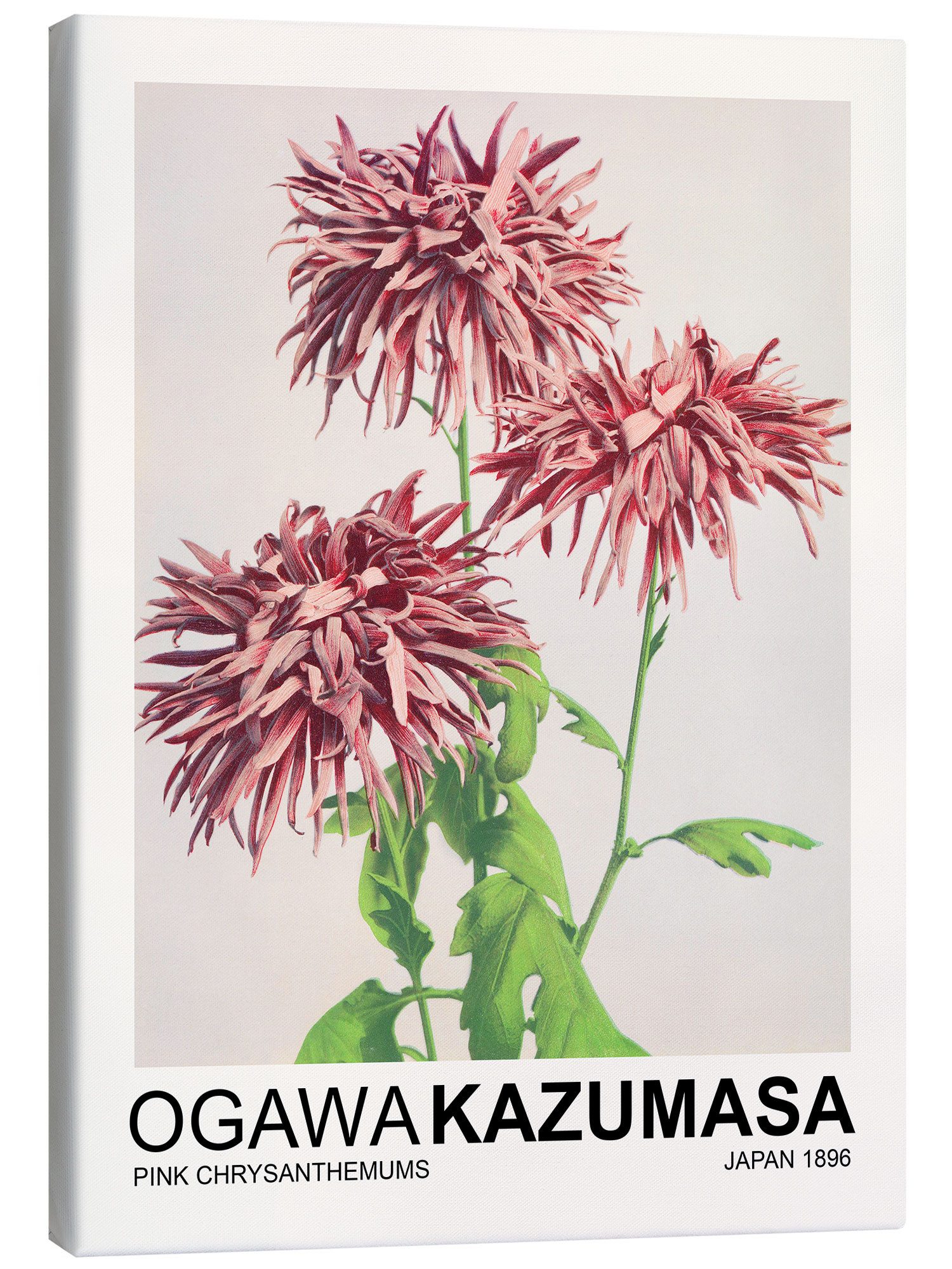 Leinwandbild Ogawa Kazumasa