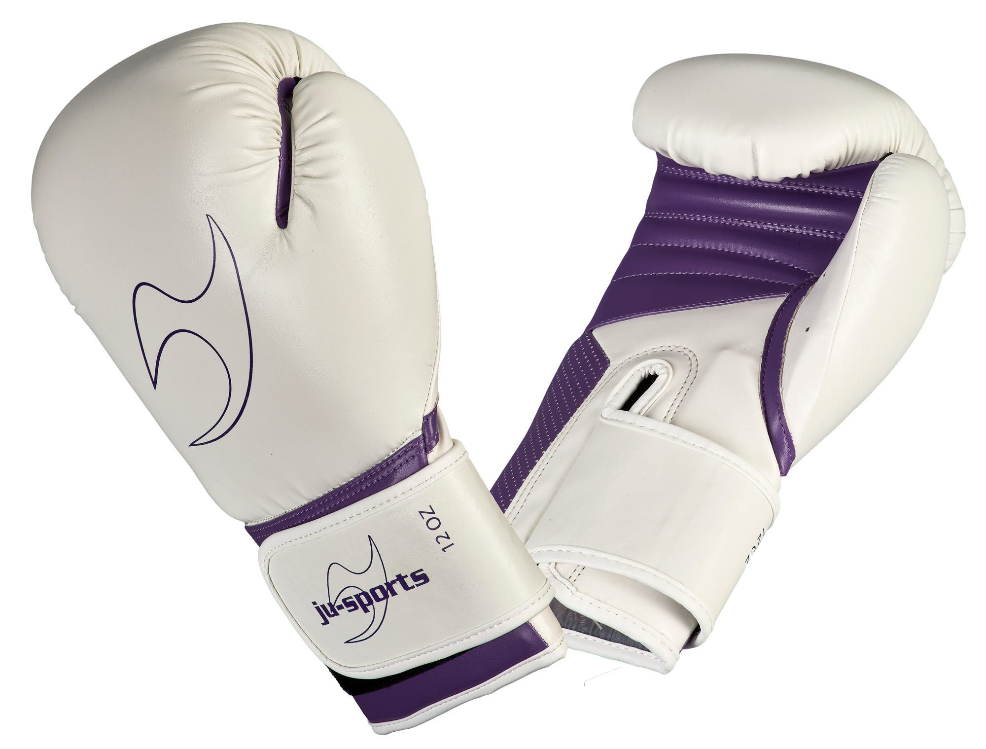 Boxhandschuhe Training 2.0