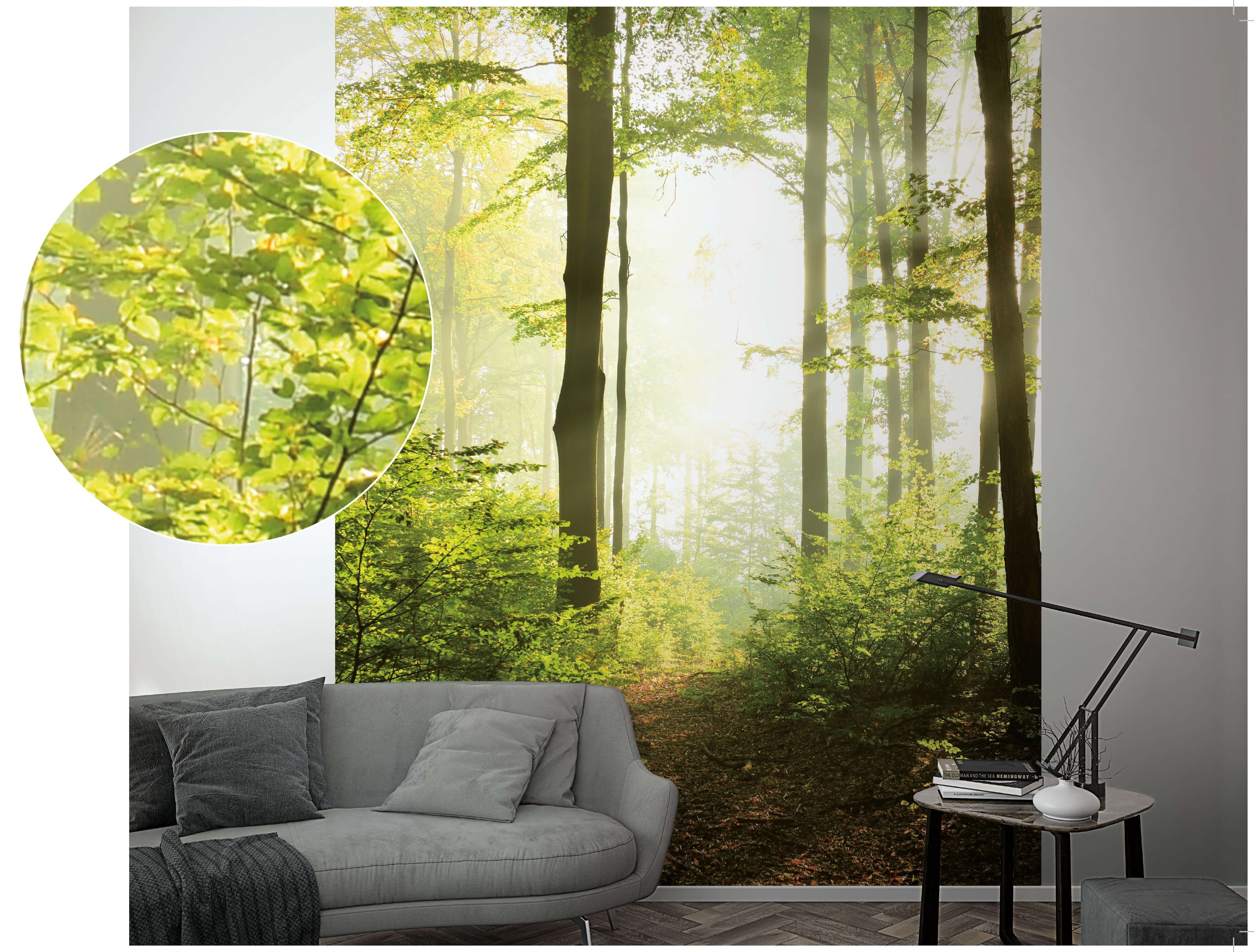 Newroom Vliestapete, [ 2,7 x 2,12m ] großzügiges Motiv - kein wiederkehrendes Muster - nahtlos große Flächen möglich - Fototapete Wandbild Wald Baum Licht Made in Germany