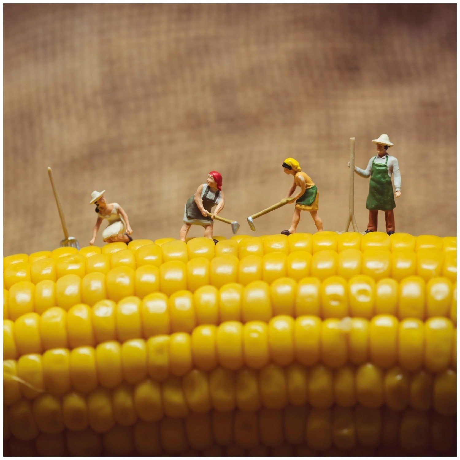 Wallario Memoboard Lustige Bauernfiguren auf einem Maiskolben beim Arbeiten