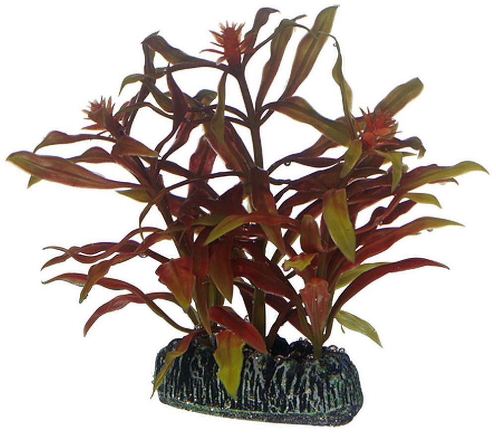 HOBBY Aquariendeko Hobby Nesaea, künstliche Pflanze 7 cm