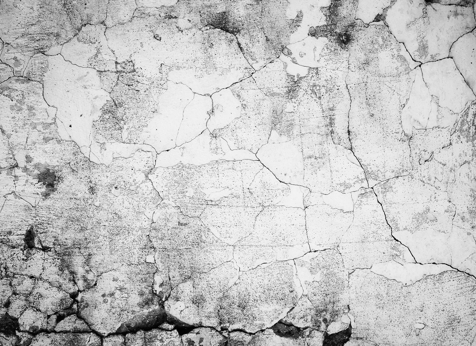living walls Crack, Cement Fototapete St), Designwalls (5 Decke Vlies, glatt, Schräge, Wand