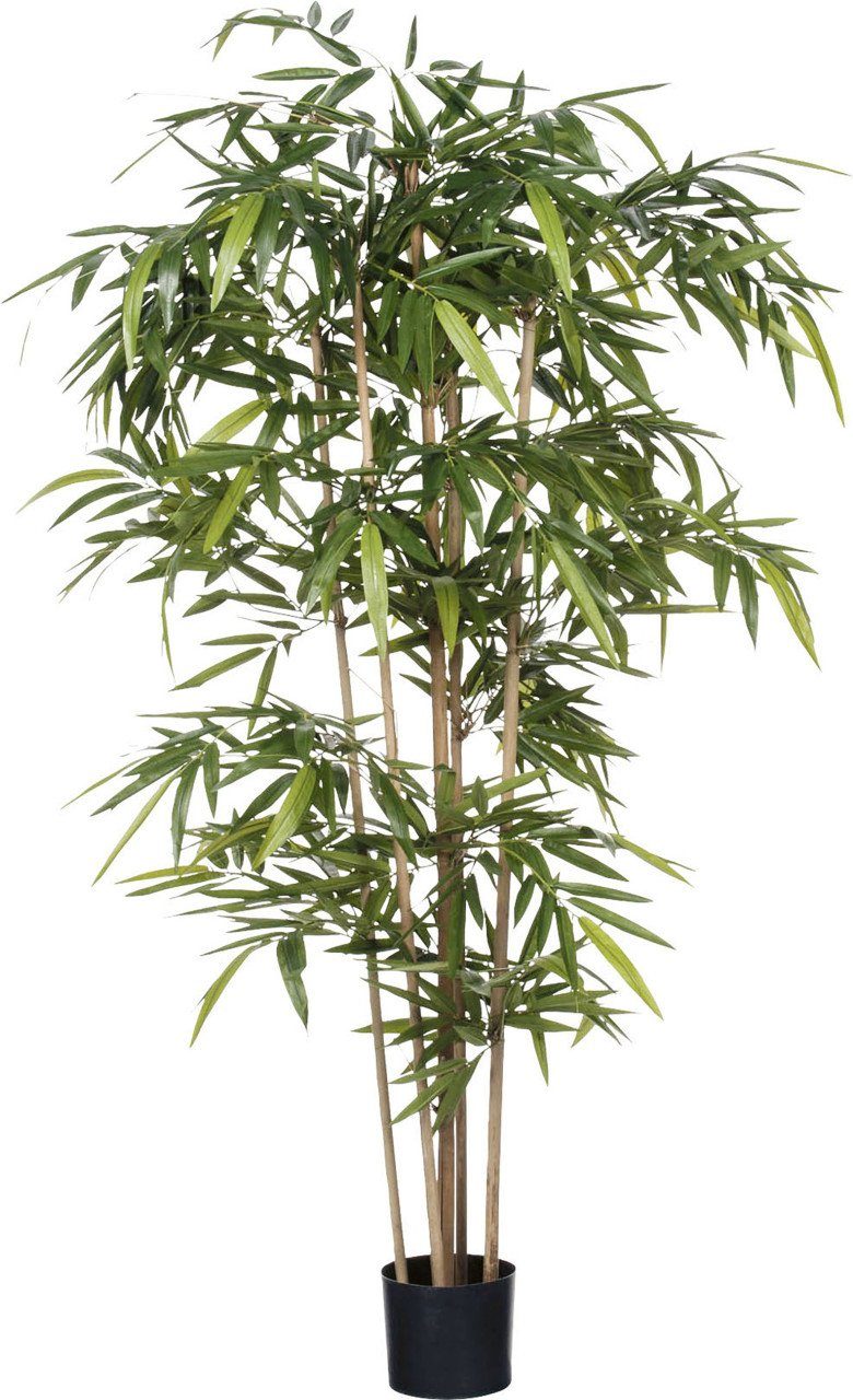 Bambus cm, Mica Decorations x Mica Kunstpflanze Topf 180 75 Kunstpflanze grün im