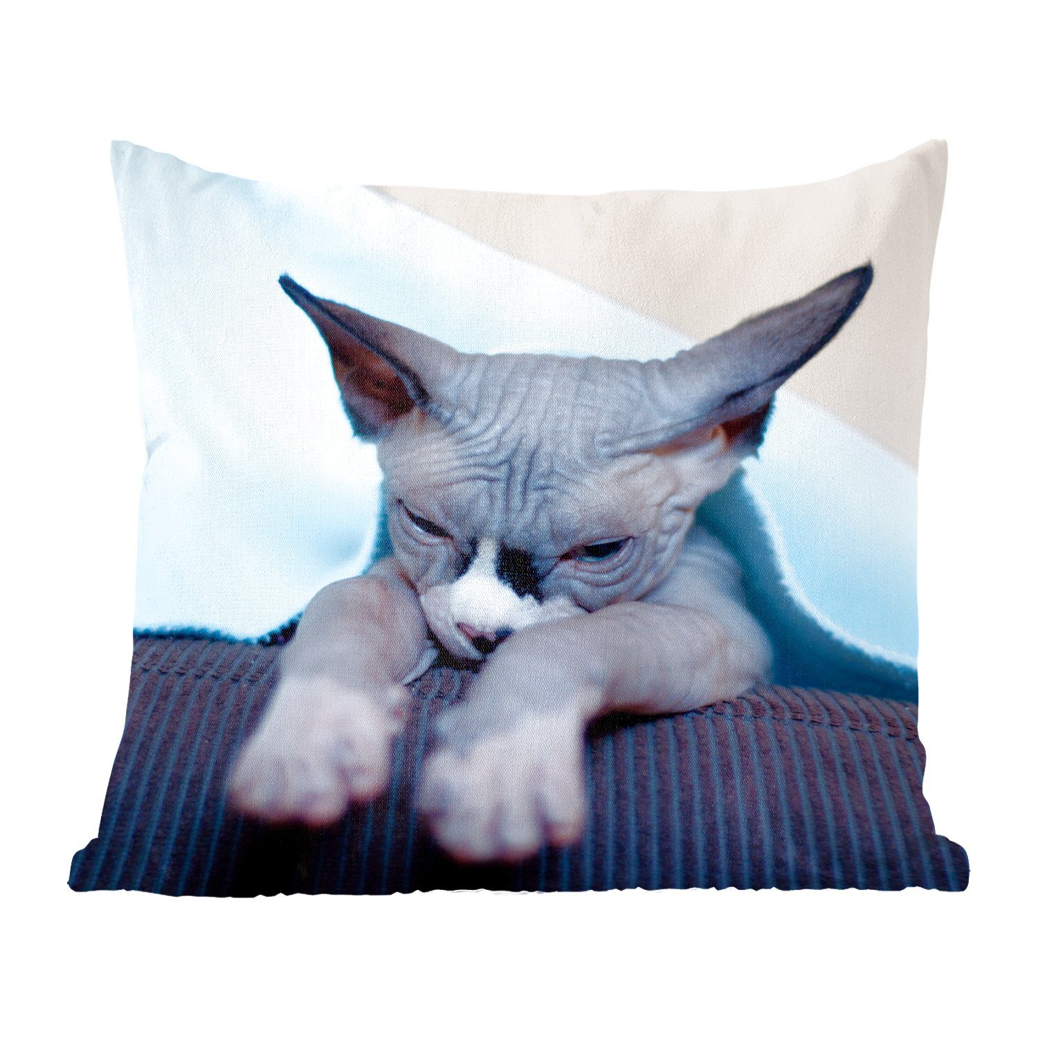 Eine für Deko, Zierkissen Dekokissen schläfrige Füllung Sofakissen Sofa, Sphynx-Katze Wohzimmer, mit MuchoWow auf dem Schlafzimmer,