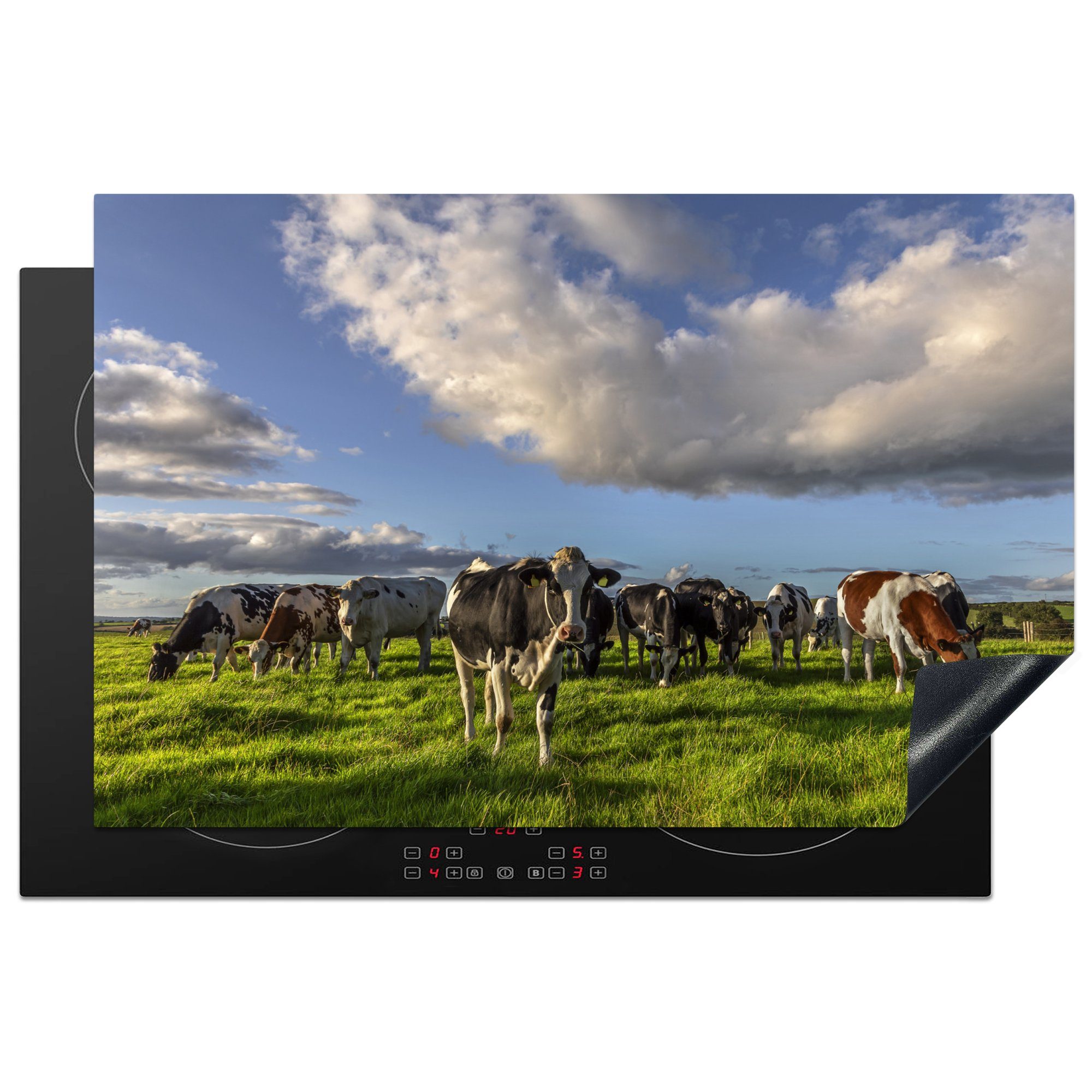MuchoWow Herdblende-/Abdeckplatte Kühe - Licht - Gras, Vinyl, (1 tlg), 81x52 cm, Induktionskochfeld Schutz für die küche, Ceranfeldabdeckung