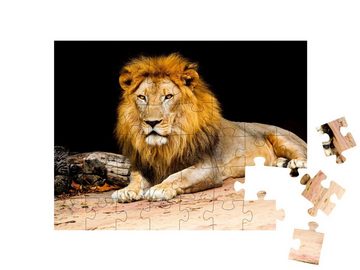 puzzleYOU Puzzle Ein Löwe, 48 Puzzleteile, puzzleYOU-Kollektionen Löwen, Tiere in Savanne & Wüste